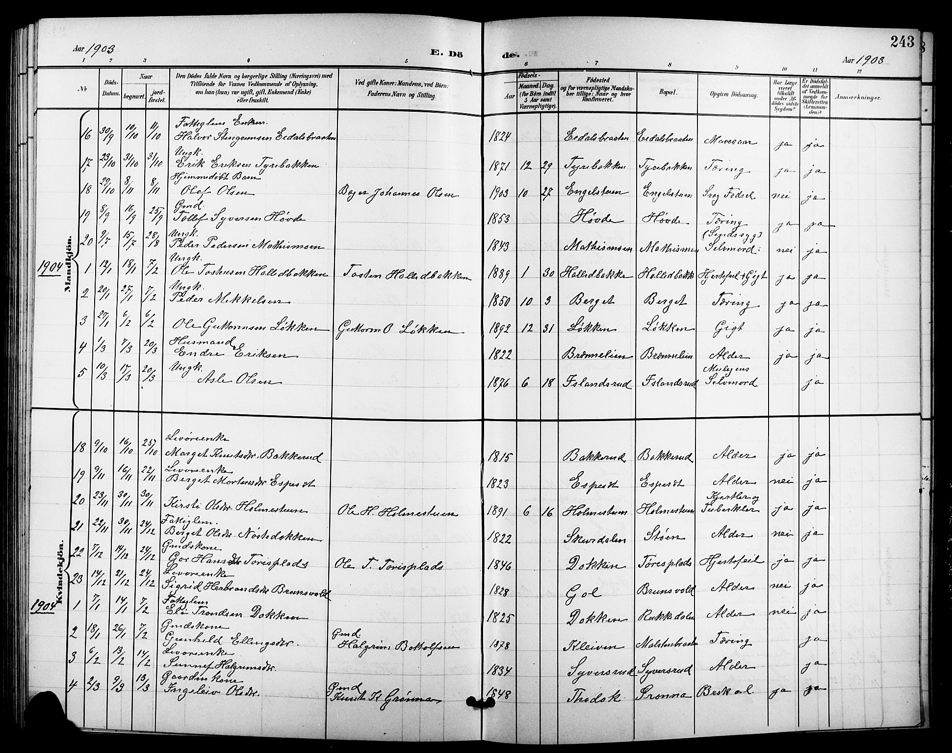 Nes kirkebøker, SAKO/A-236/G/Ga/L0004: Parish register (copy) no. I 4, 1900-1925, p. 243