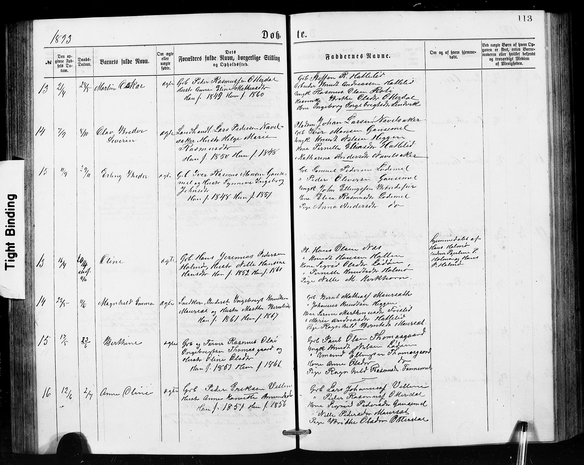 Hornindal sokneprestembete, SAB/A-82401/H/Hab: Parish register (copy) no. A 1, 1876-1894, p. 113