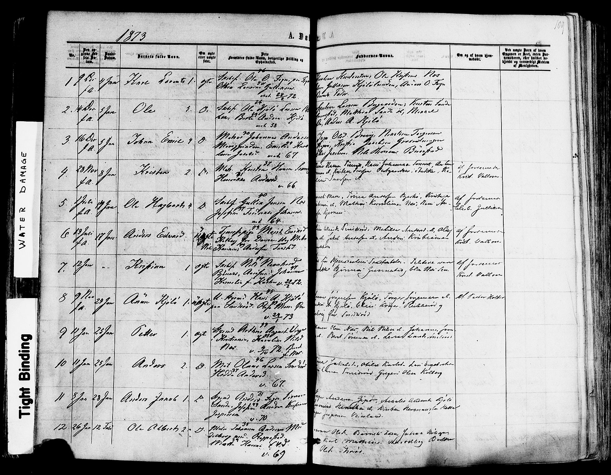 Nøtterøy kirkebøker, AV/SAKO-A-354/F/Fa/L0007: Parish register (official) no. I 7, 1865-1877, p. 109