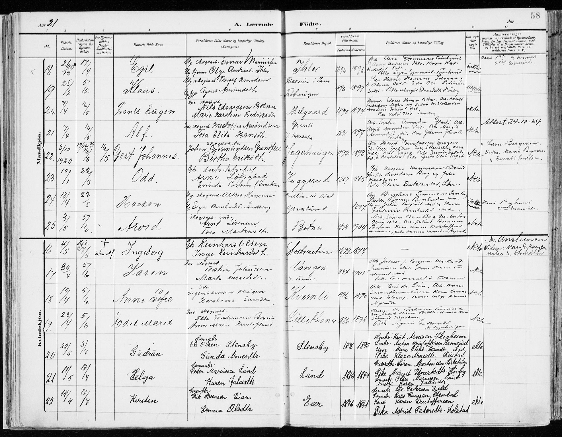 Nord-Odal prestekontor, AV/SAH-PREST-032/H/Ha/Haa/L0009: Parish register (official) no. 9, 1902-1926, p. 58