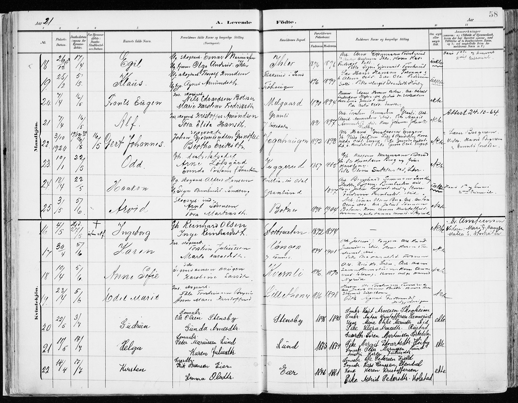 Nord-Odal prestekontor, AV/SAH-PREST-032/H/Ha/Haa/L0009: Parish register (official) no. 9, 1902-1926, p. 58