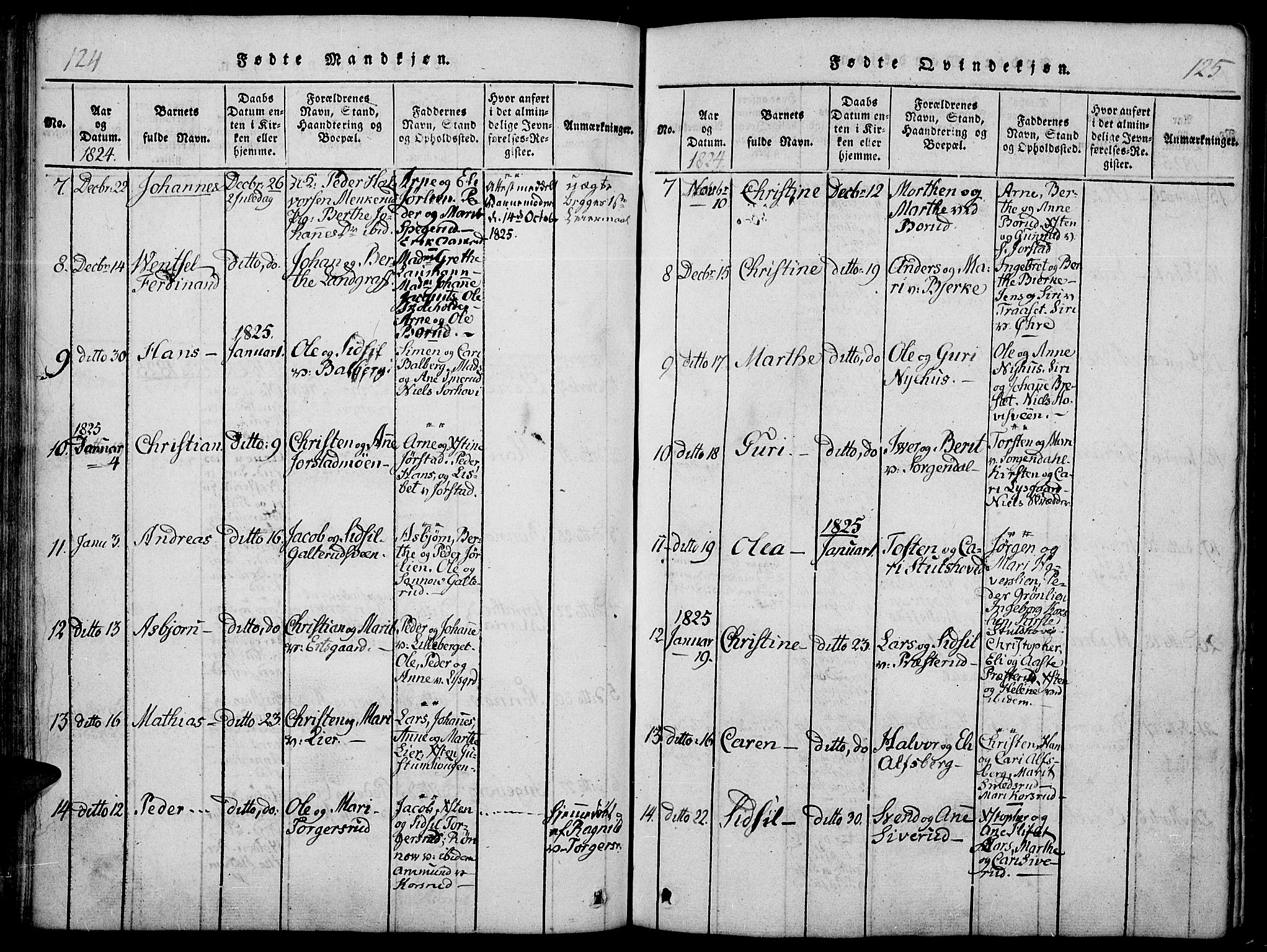 Fåberg prestekontor, SAH/PREST-086/H/Ha/Haa/L0003: Parish register (official) no. 3, 1818-1833, p. 124-125