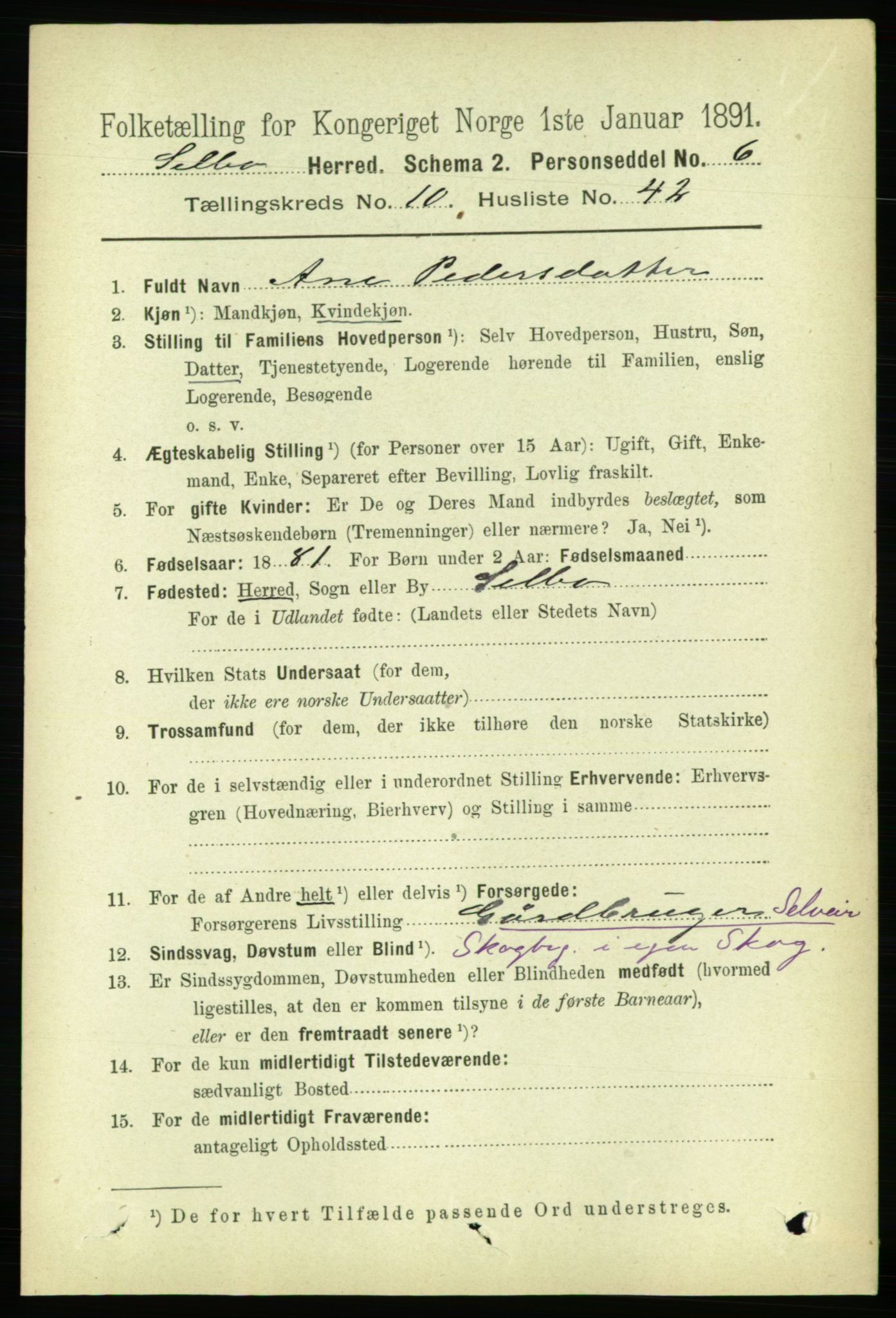 RA, 1891 census for 1664 Selbu, 1891, p. 3924