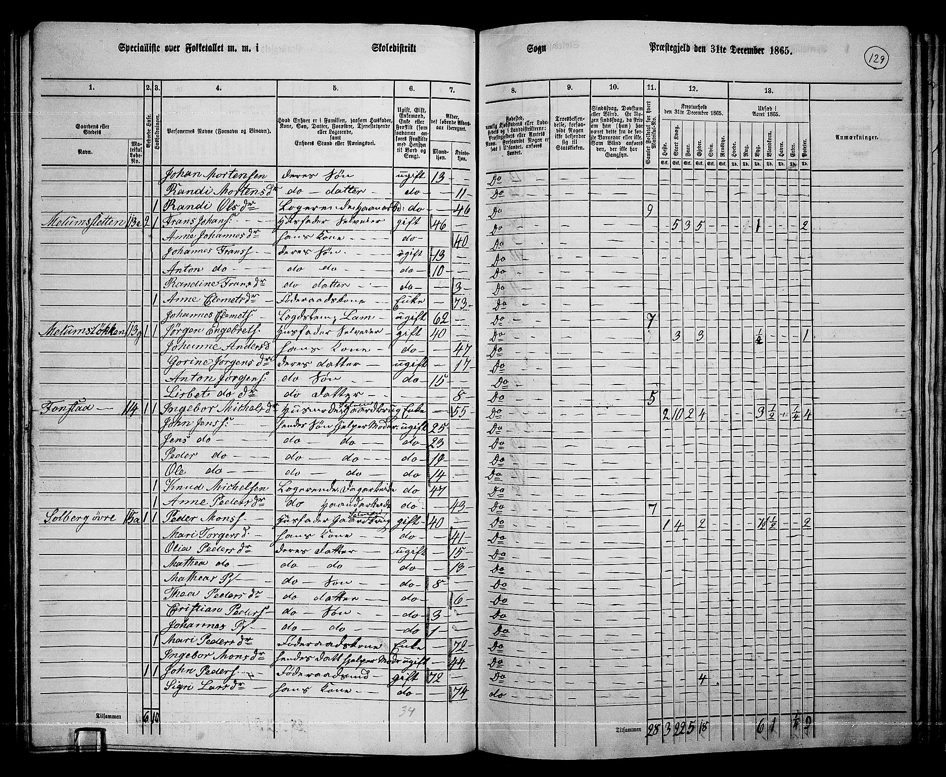 RA, 1865 census for Øyer, 1865, p. 115