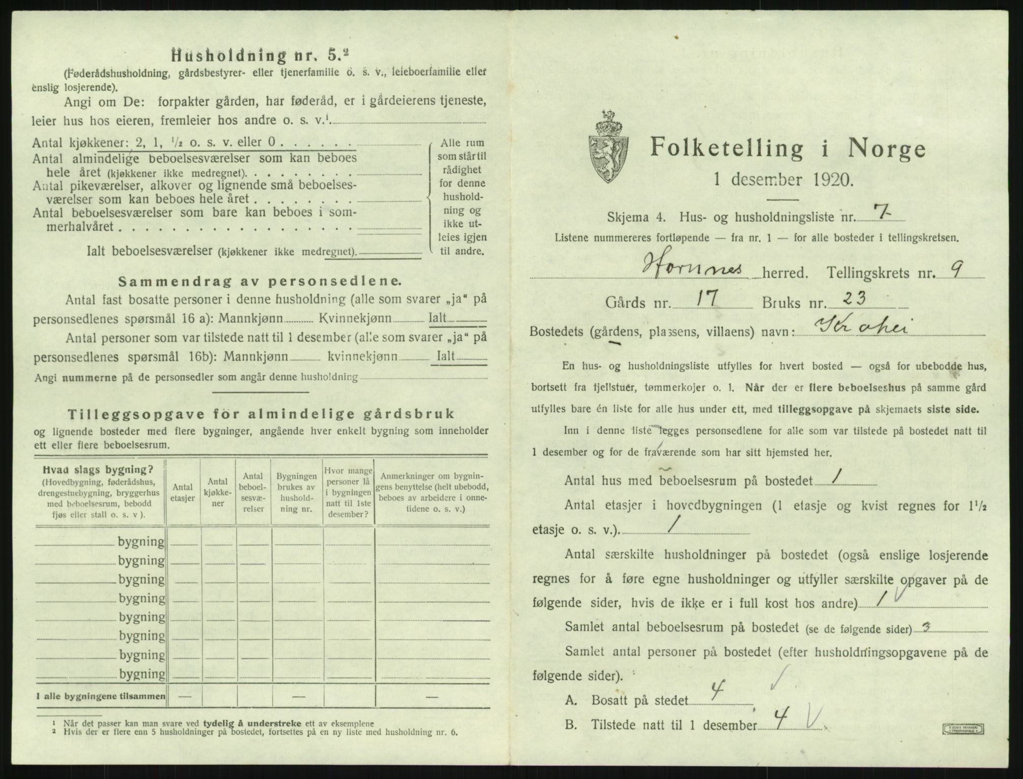 SAK, 1920 census for Hornnes, 1920, p. 363