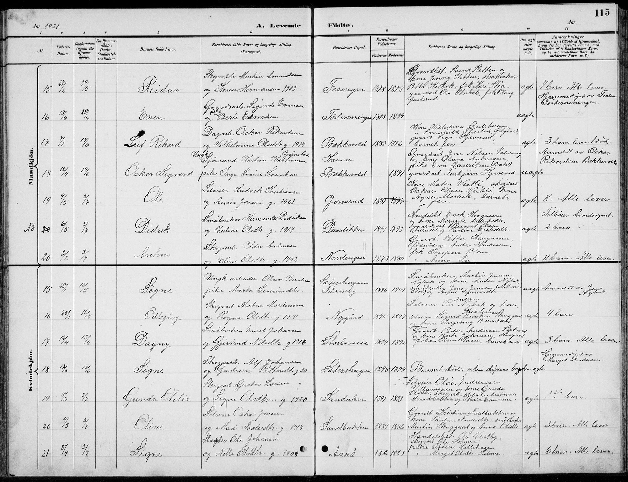 Romedal prestekontor, AV/SAH-PREST-004/L/L0013: Parish register (copy) no. 13, 1896-1937, p. 115