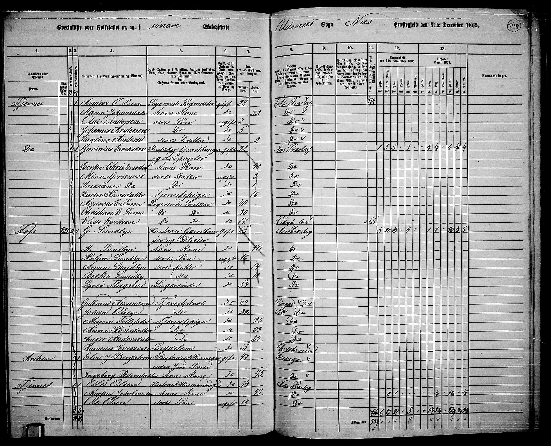 RA, 1865 census for Nes, 1865, p. 361