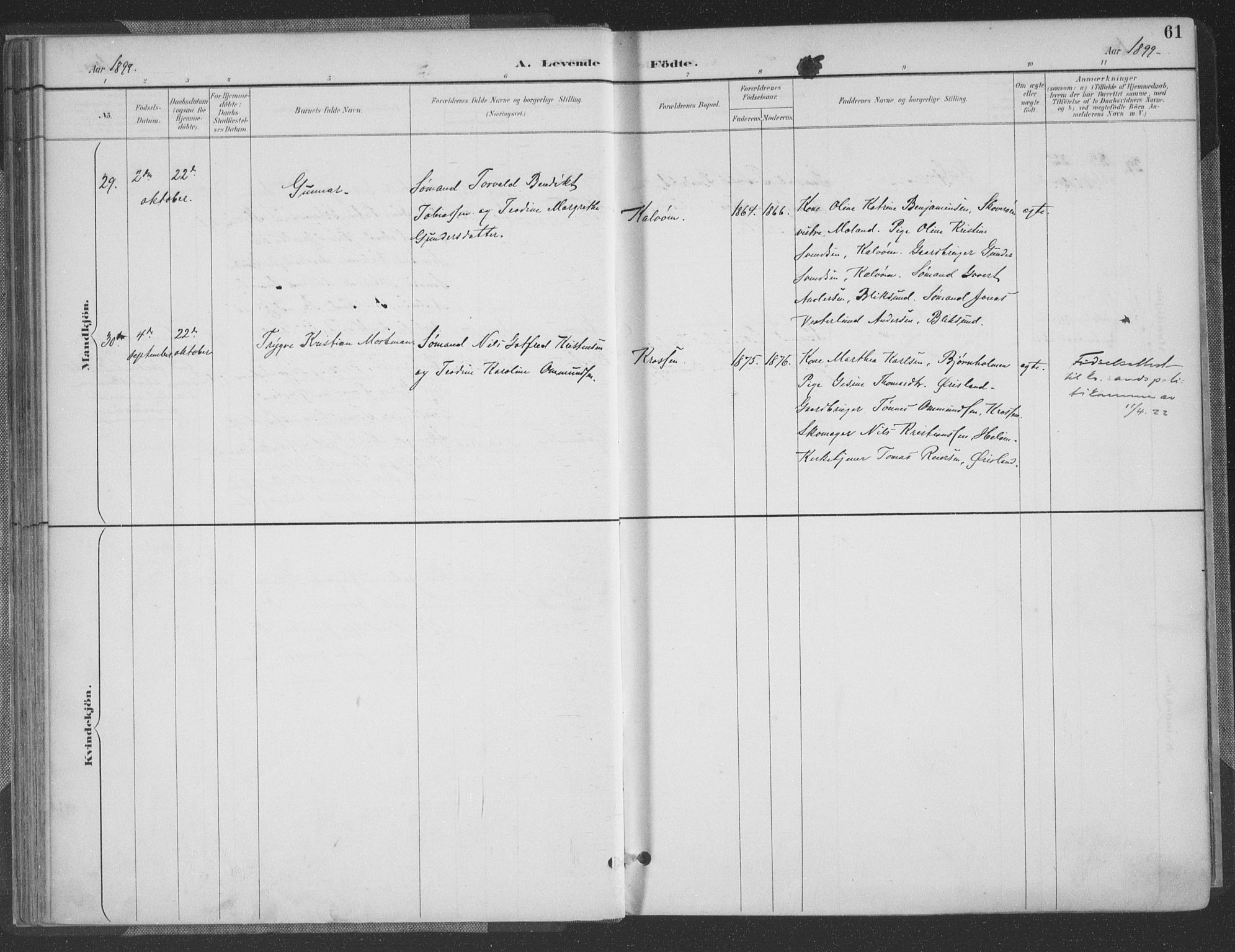 Høvåg sokneprestkontor, SAK/1111-0025/F/Fa/L0006: Parish register (official) no. A 6, 1894-1923, p. 61