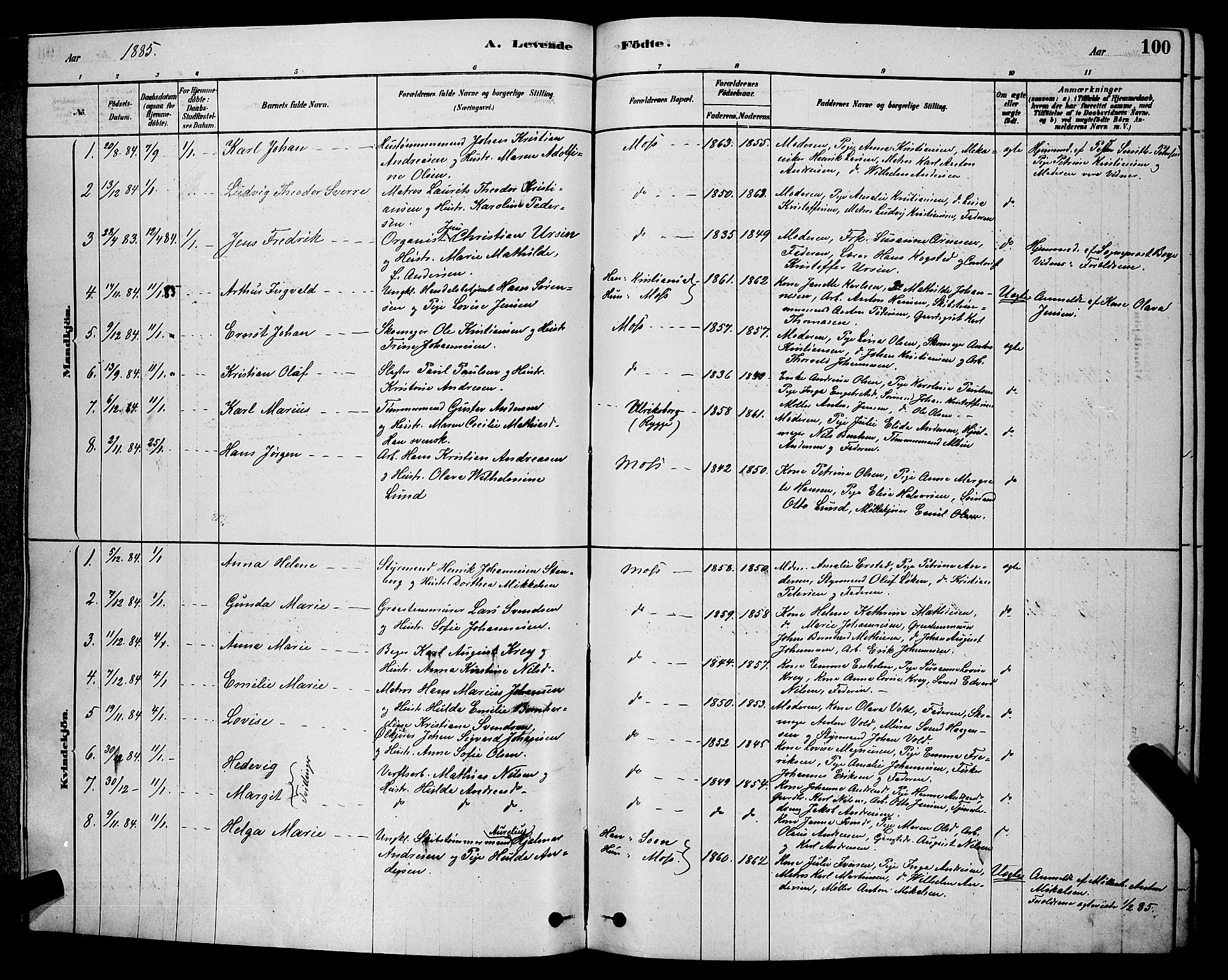 Moss prestekontor Kirkebøker, AV/SAO-A-2003/G/Ga/L0005: Parish register (copy) no. I 5, 1878-1888, p. 100