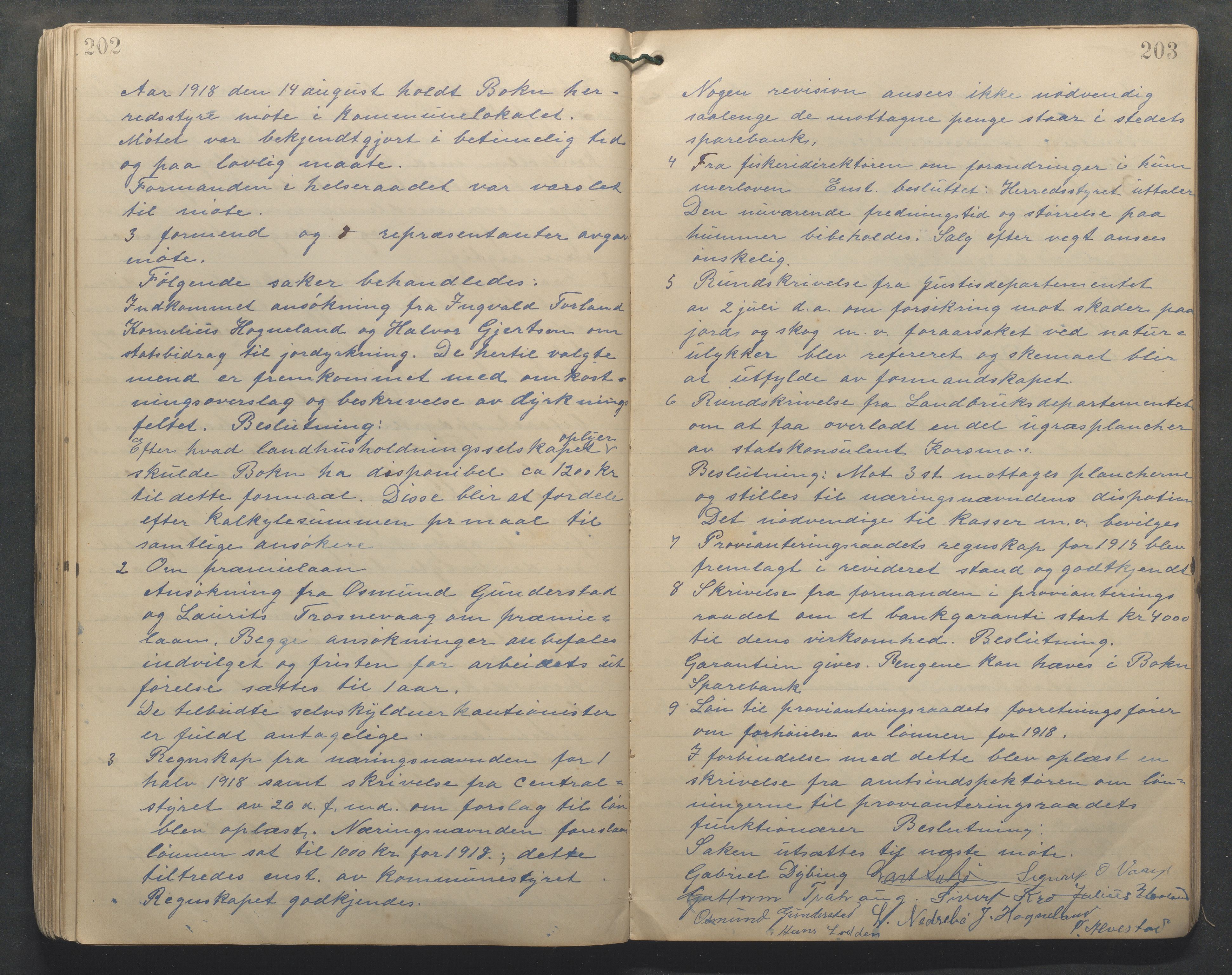 Bokn kommune - Formannskapet, IKAR/A-115/A/Aa/L0003: Møtebok, 1906-1921, p. 202-203