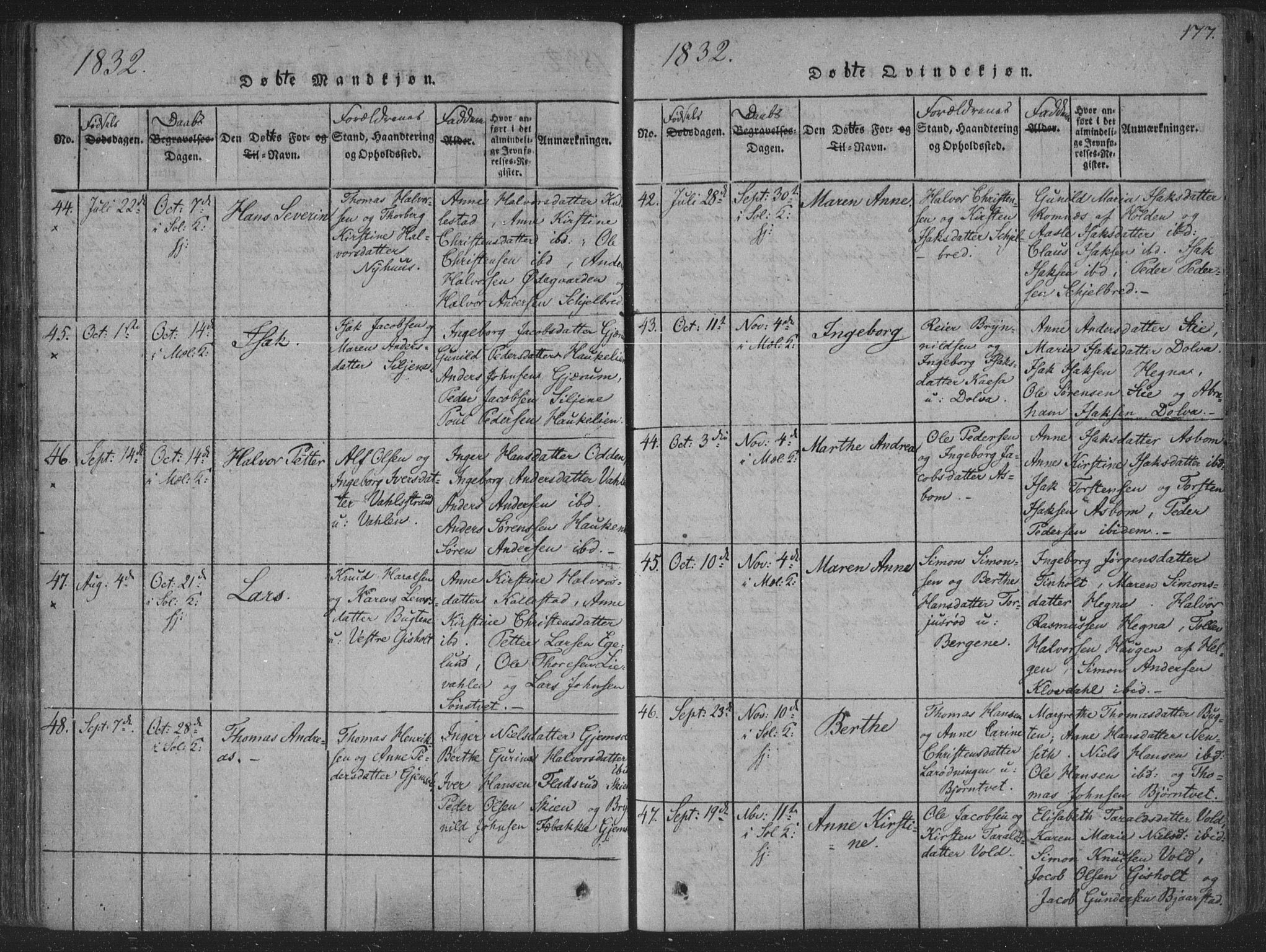 Solum kirkebøker, AV/SAKO-A-306/F/Fa/L0004: Parish register (official) no. I 4, 1814-1833, p. 177