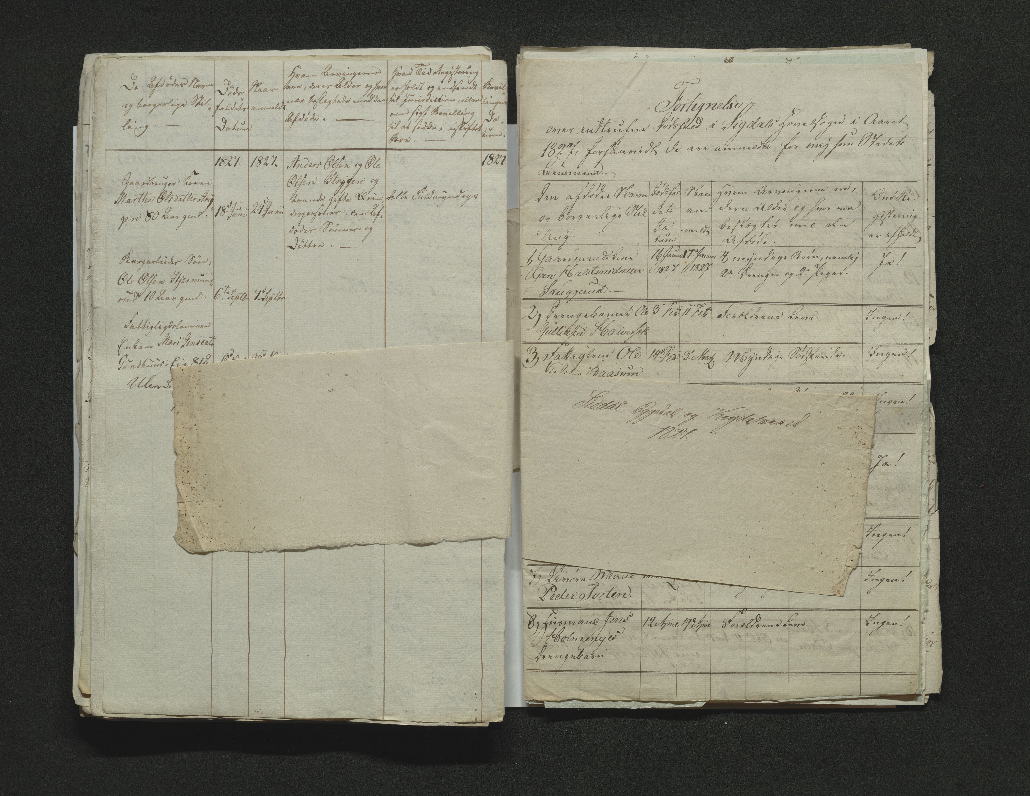 Eiker, Modum og Sigdal sorenskriveri, AV/SAKO-A-123/H/Ha/Hab/L0002: Dødsfallsmeldinger, 1823-1829, p. 210