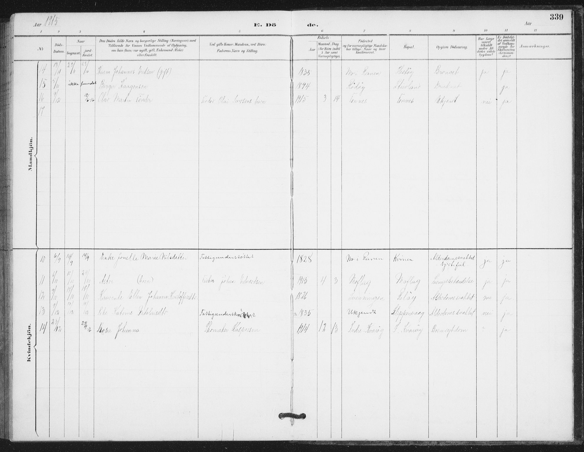 Ministerialprotokoller, klokkerbøker og fødselsregistre - Nordland, AV/SAT-A-1459/839/L0573: Parish register (copy) no. 839C03, 1892-1917, p. 339