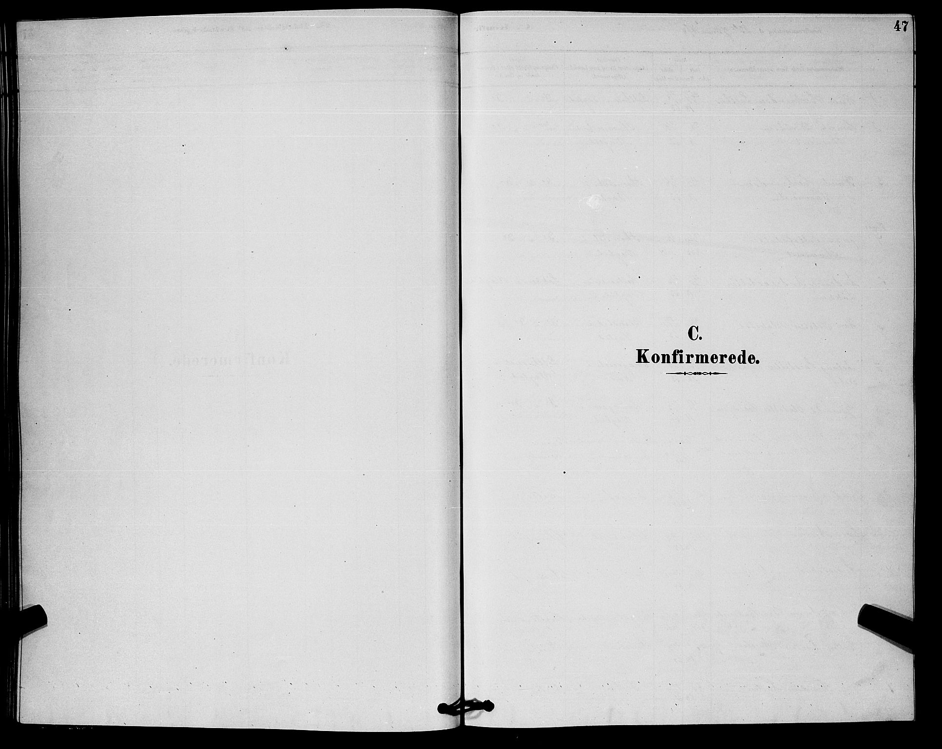 Rollag kirkebøker, AV/SAKO-A-240/G/Gb/L0002: Parish register (copy) no. II 2, 1878-1898, p. 47