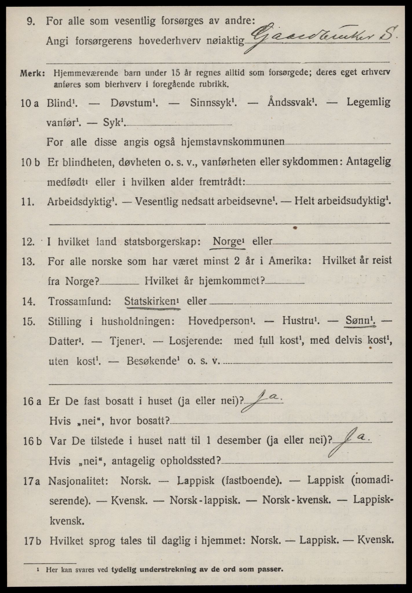 SAT, 1920 census for Orkdal, 1920, p. 4699