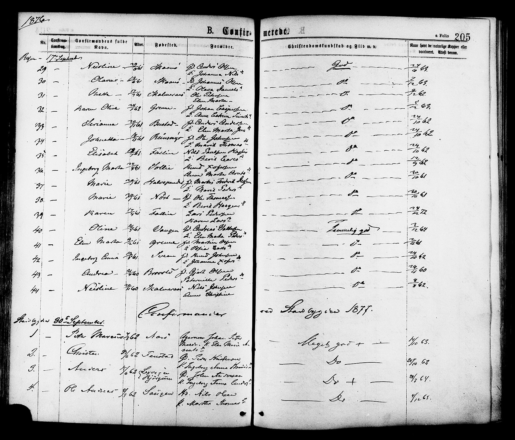 Ministerialprotokoller, klokkerbøker og fødselsregistre - Sør-Trøndelag, SAT/A-1456/646/L0613: Parish register (official) no. 646A11, 1870-1884, p. 205