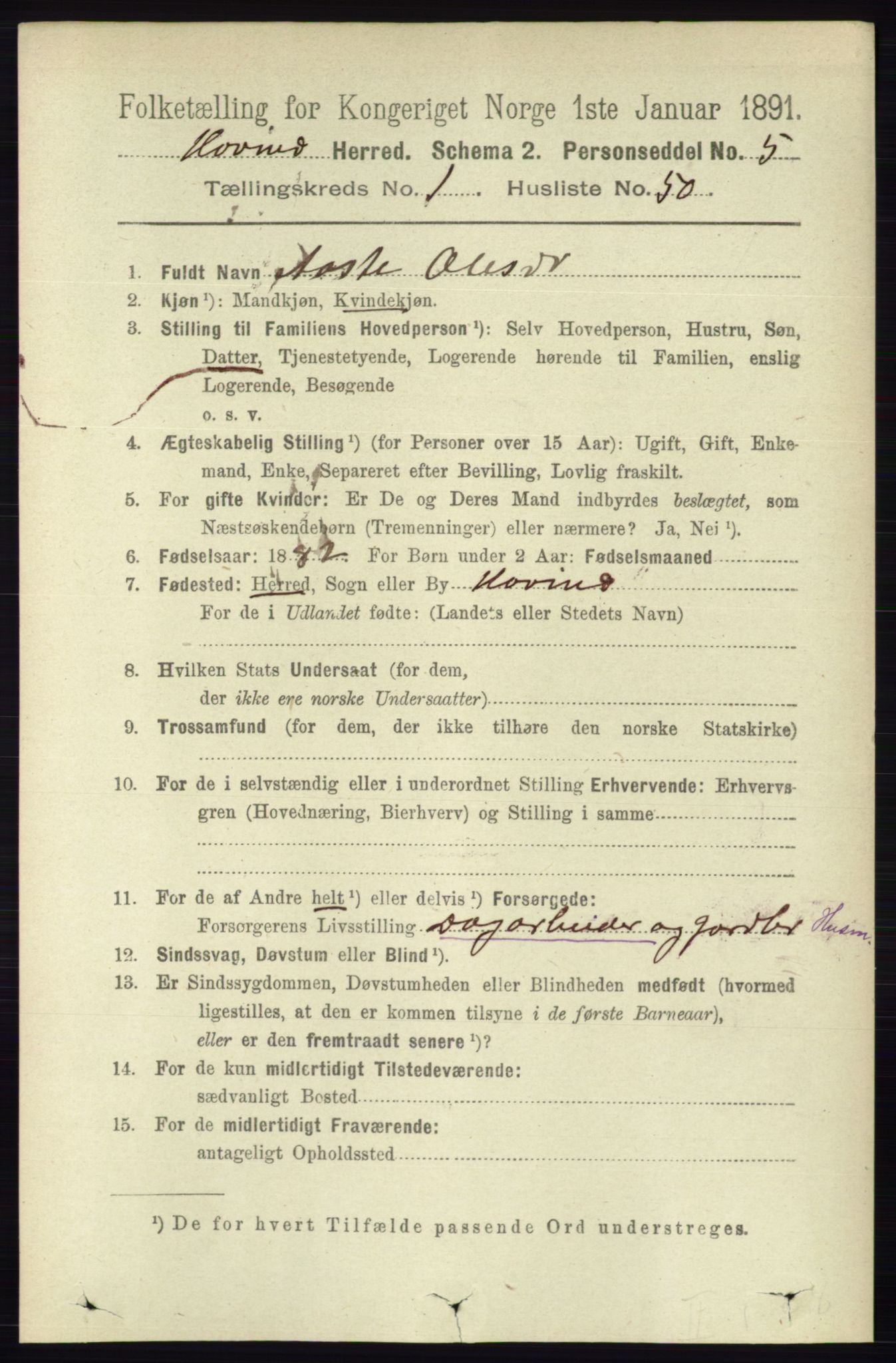 RA, 1891 census for 0825 Hovin, 1891, p. 380