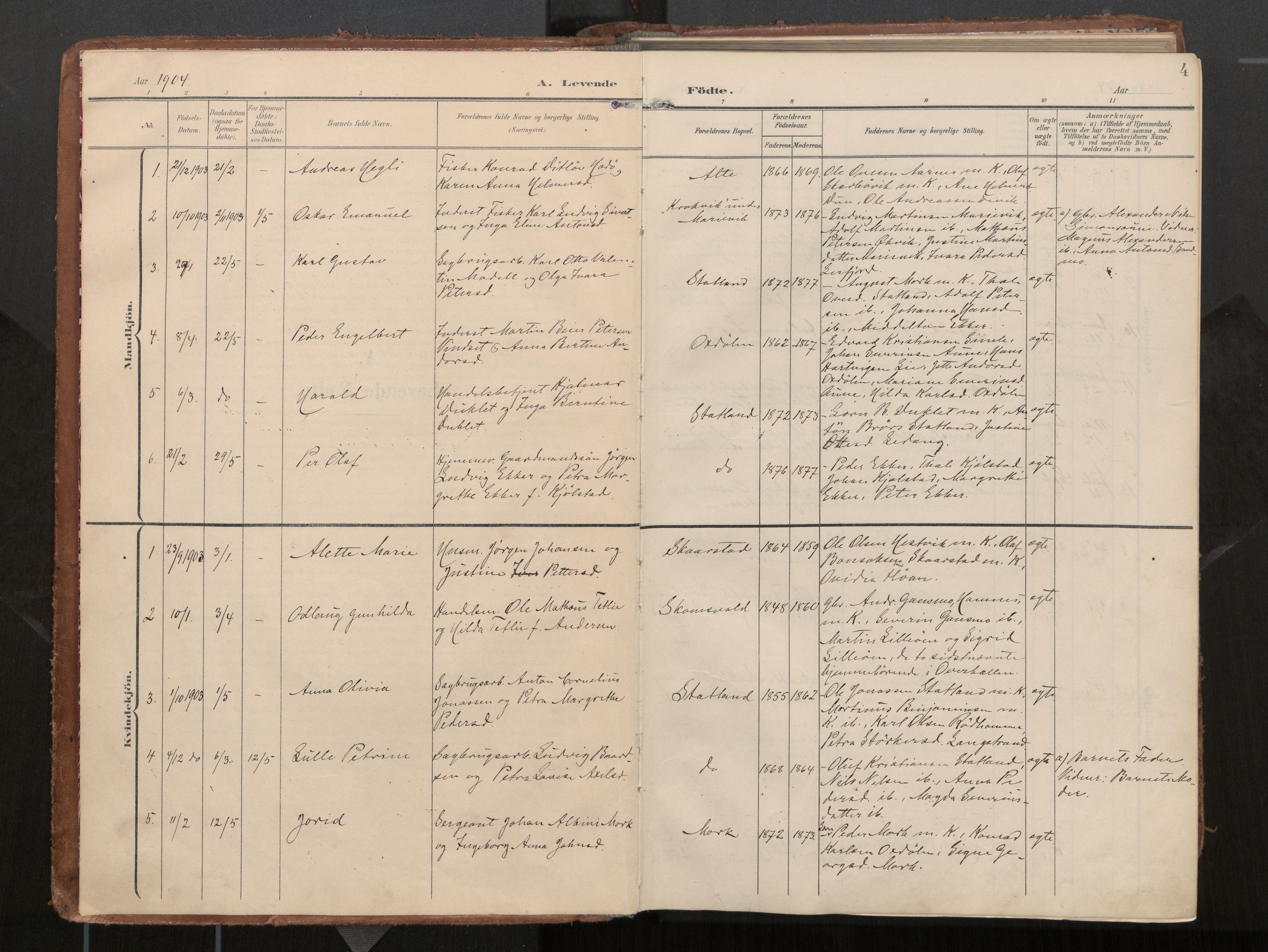 Ministerialprotokoller, klokkerbøker og fødselsregistre - Nord-Trøndelag, AV/SAT-A-1458/774/L0629: Parish register (official), 1904-1926, p. 4