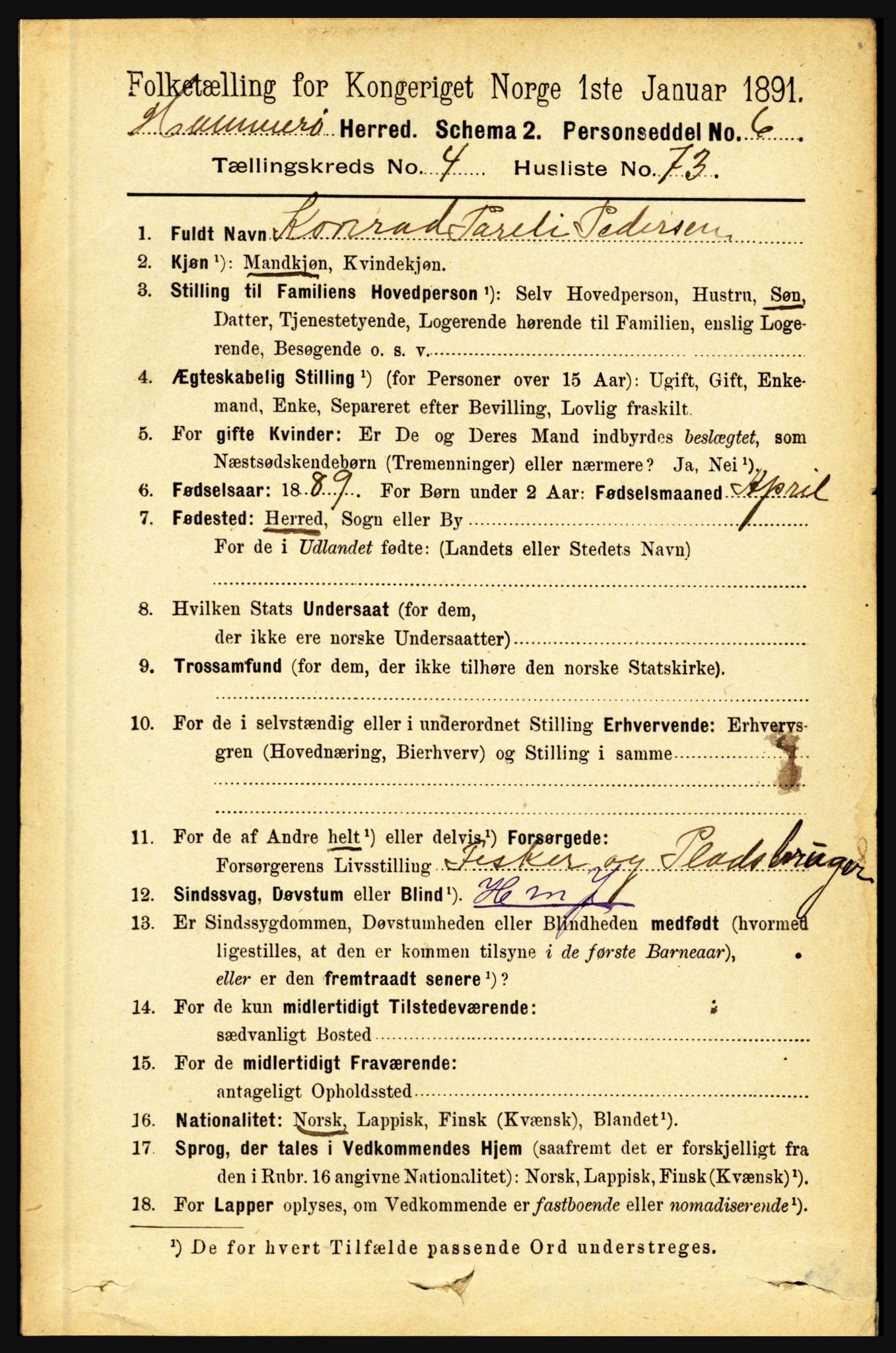 RA, 1891 census for 1849 Hamarøy, 1891, p. 2405