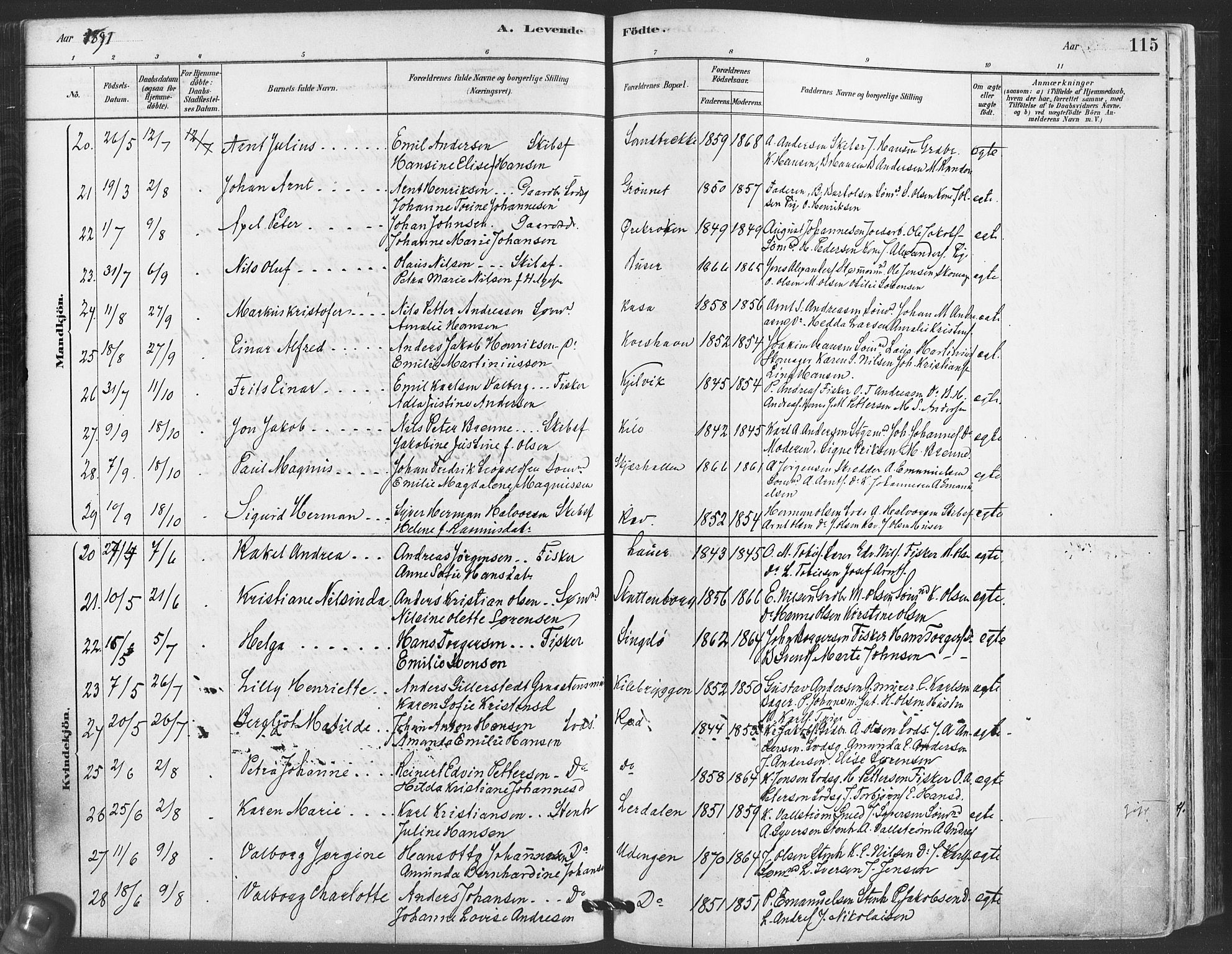 Hvaler prestekontor Kirkebøker, AV/SAO-A-2001/F/Fa/L0008: Parish register (official) no. I 8, 1878-1895, p. 115