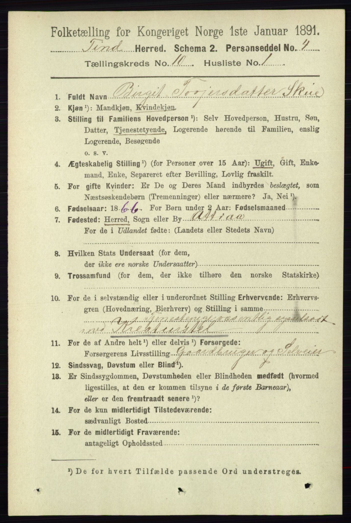 RA, 1891 census for 0826 Tinn, 1891, p. 1970