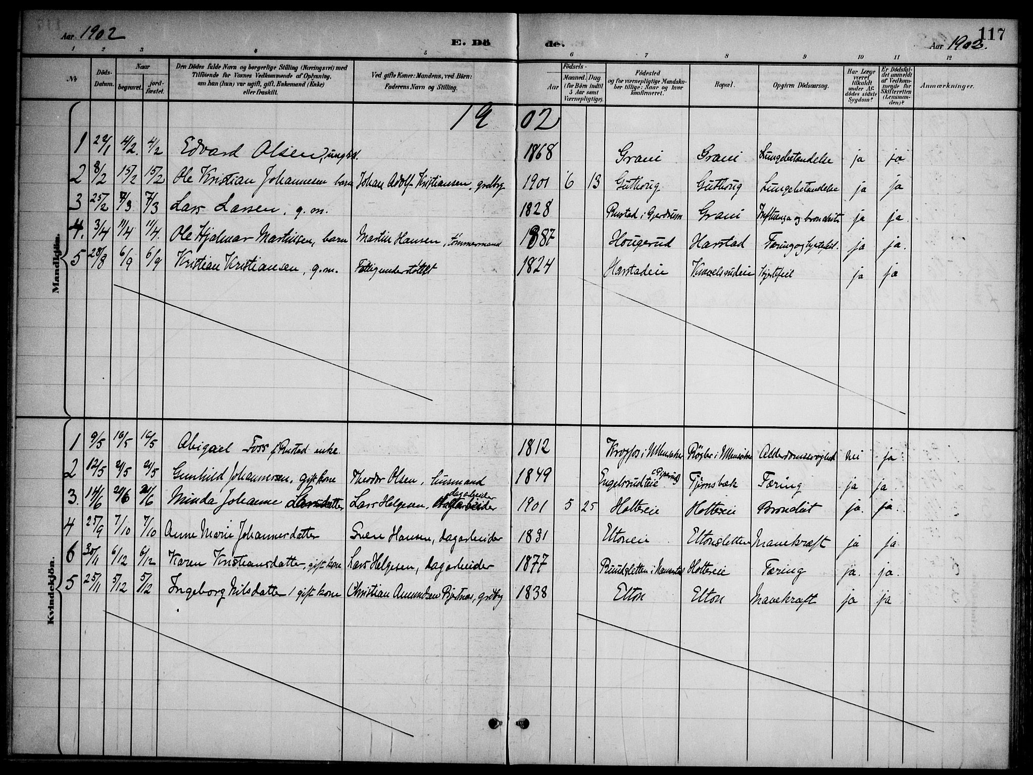 Nannestad prestekontor Kirkebøker, SAO/A-10414a/G/Gb/L0001: Parish register (copy) no. II 1, 1901-1917, p. 117