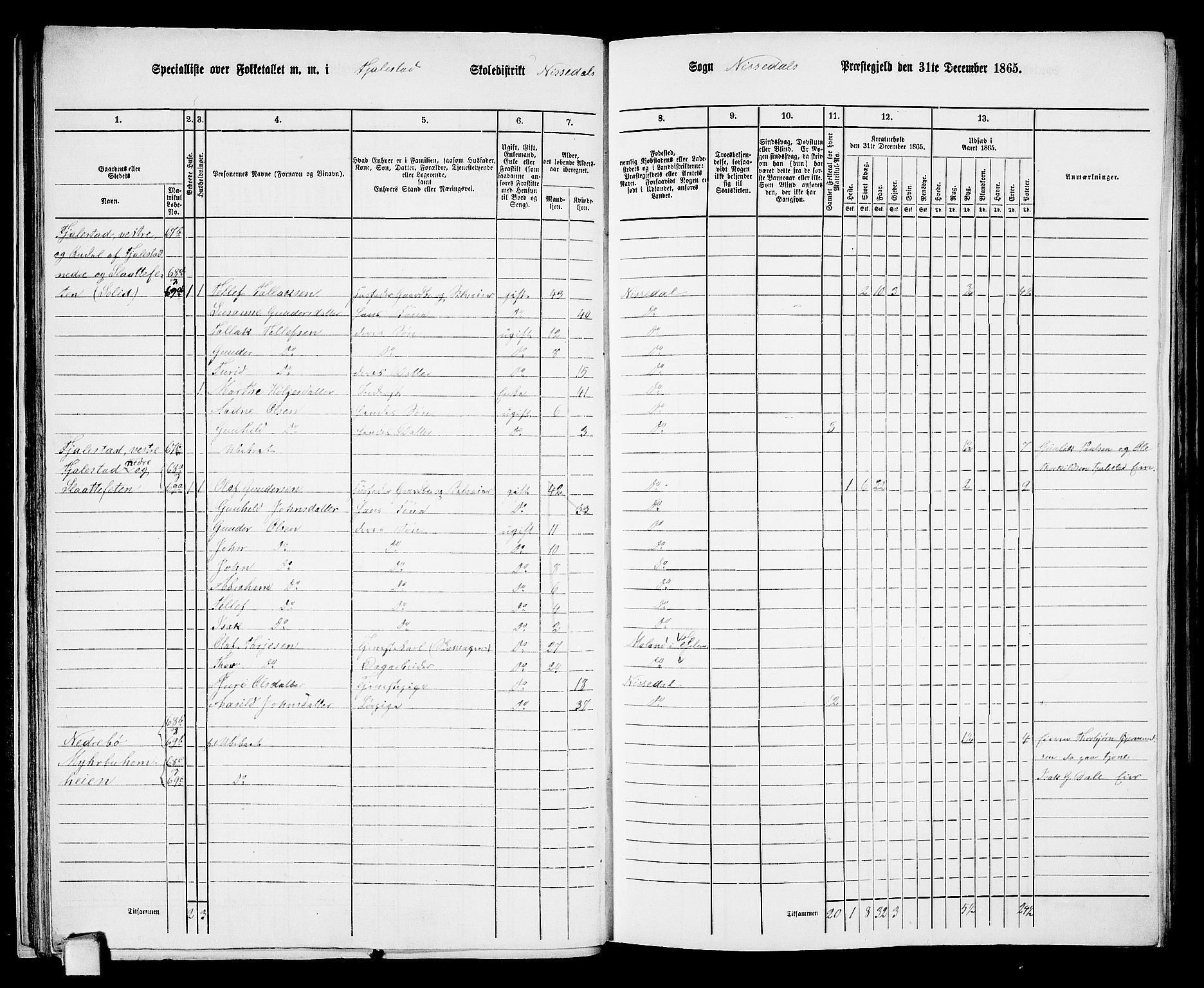 RA, 1865 census for Nissedal, 1865, p. 36