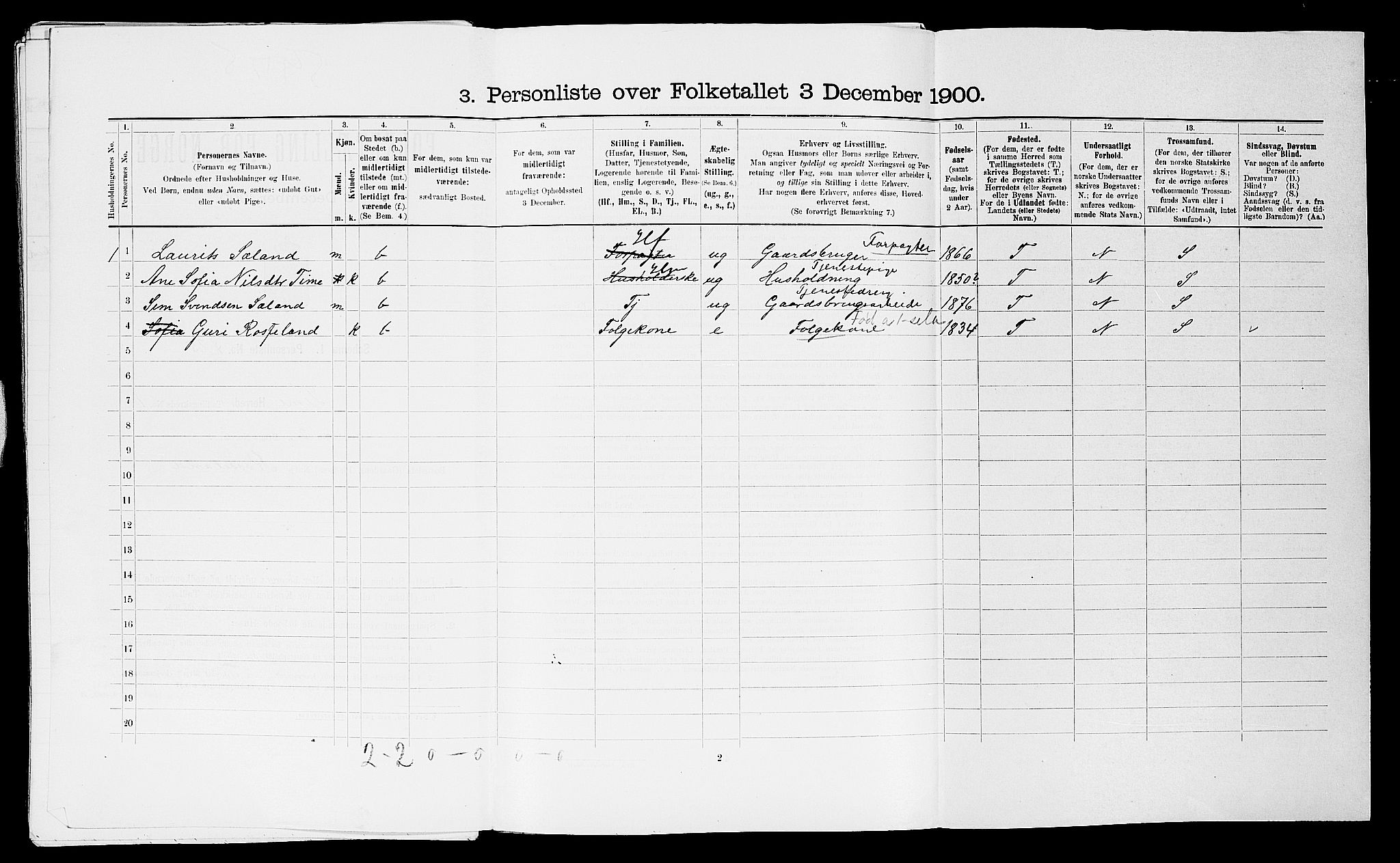 SAST, 1900 census for Time, 1900, p. 87