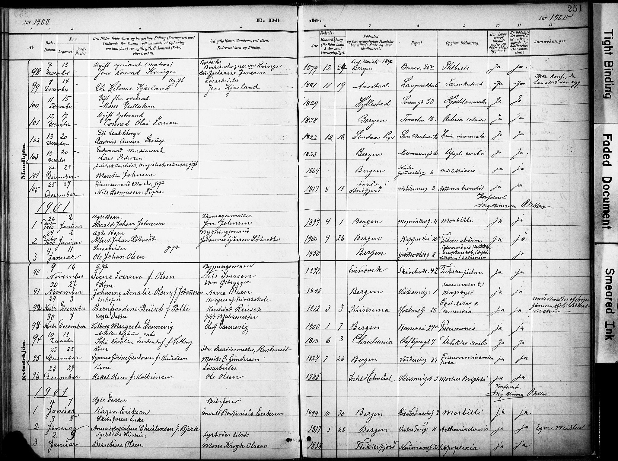 Domkirken sokneprestembete, AV/SAB-A-74801/H/Haa/L0043: Parish register (official) no. E 5, 1882-1904, p. 251