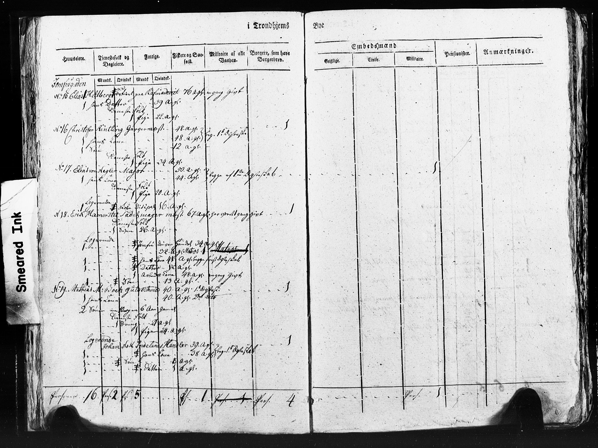 SAT, Census 1815 for Trondheim (transcript), 1815, p. 231