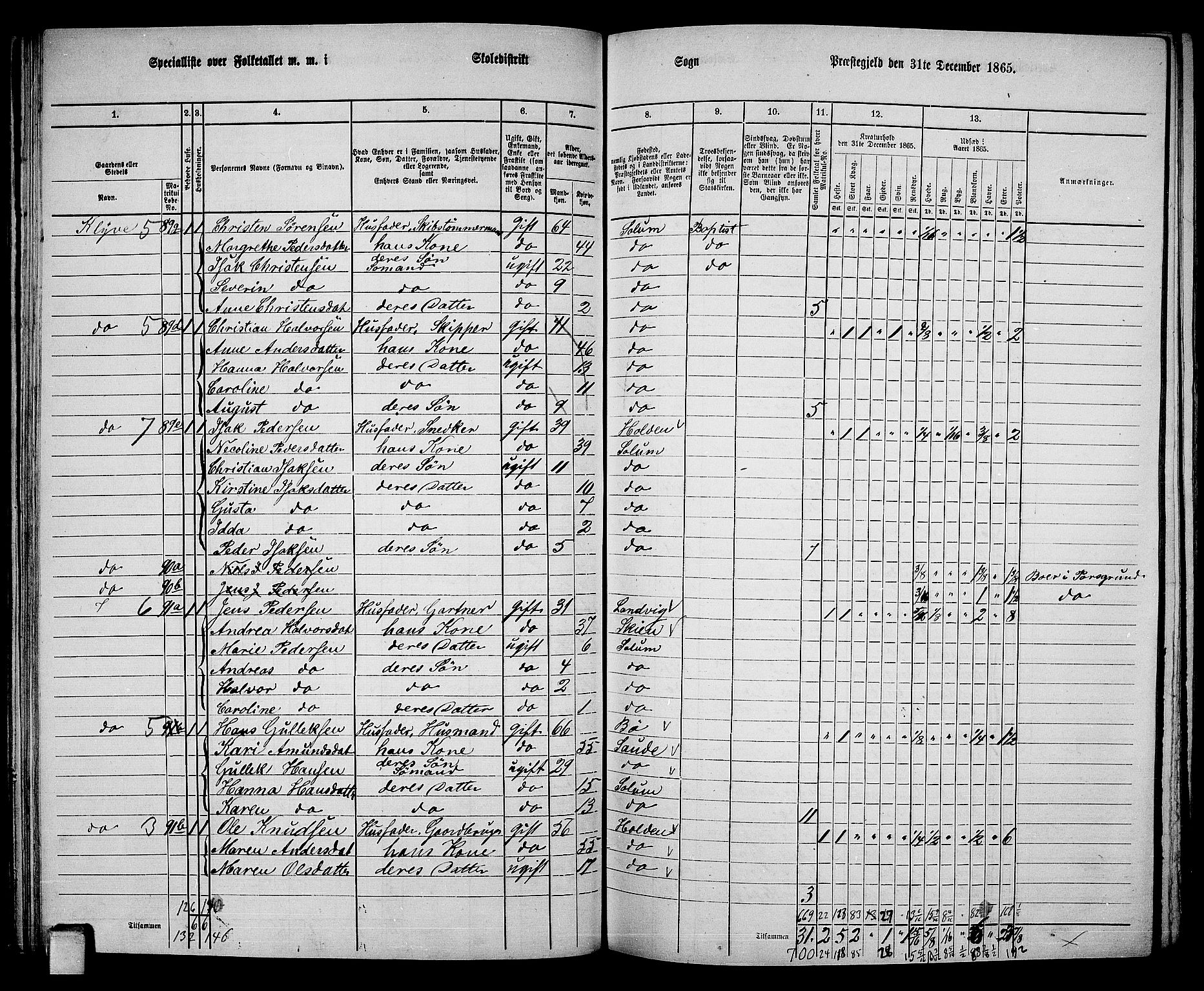 RA, 1865 census for Solum, 1865, p. 93