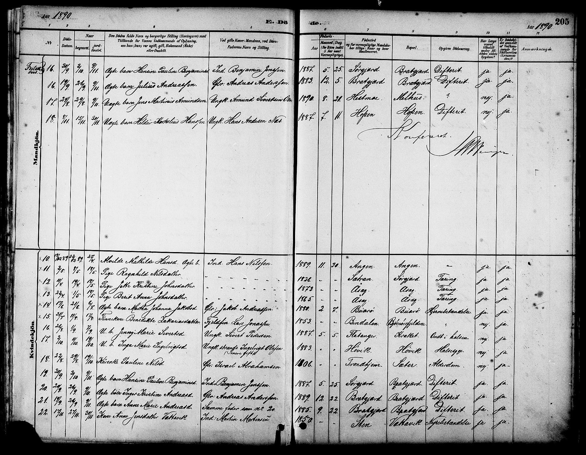Ministerialprotokoller, klokkerbøker og fødselsregistre - Sør-Trøndelag, SAT/A-1456/658/L0726: Parish register (copy) no. 658C02, 1883-1908, p. 205