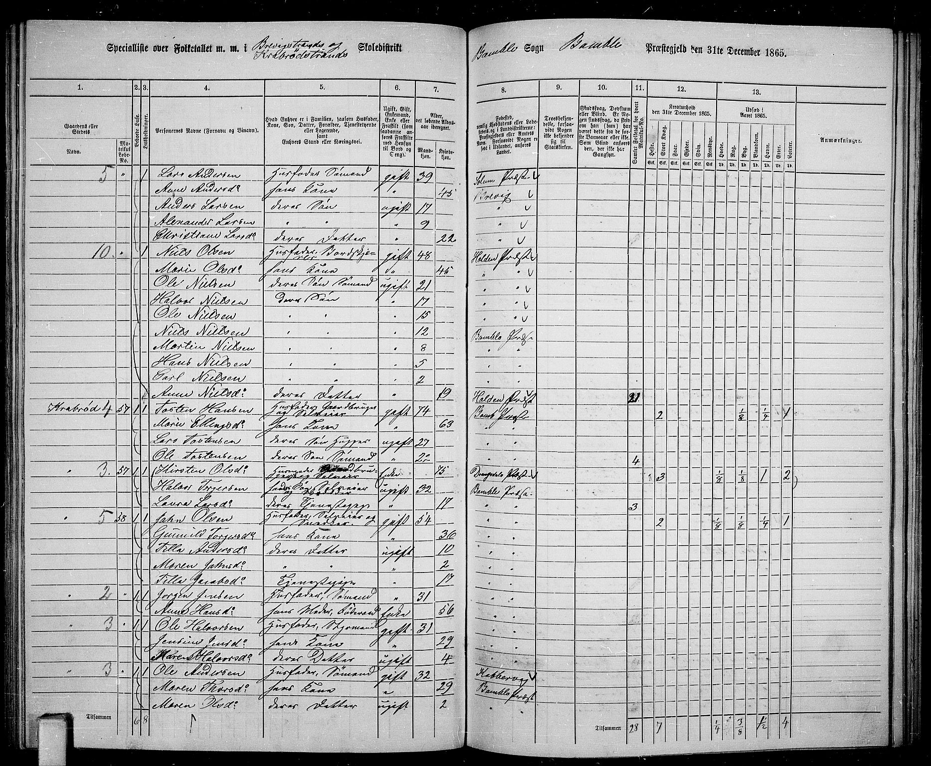 RA, 1865 census for Bamble, 1865, p. 137