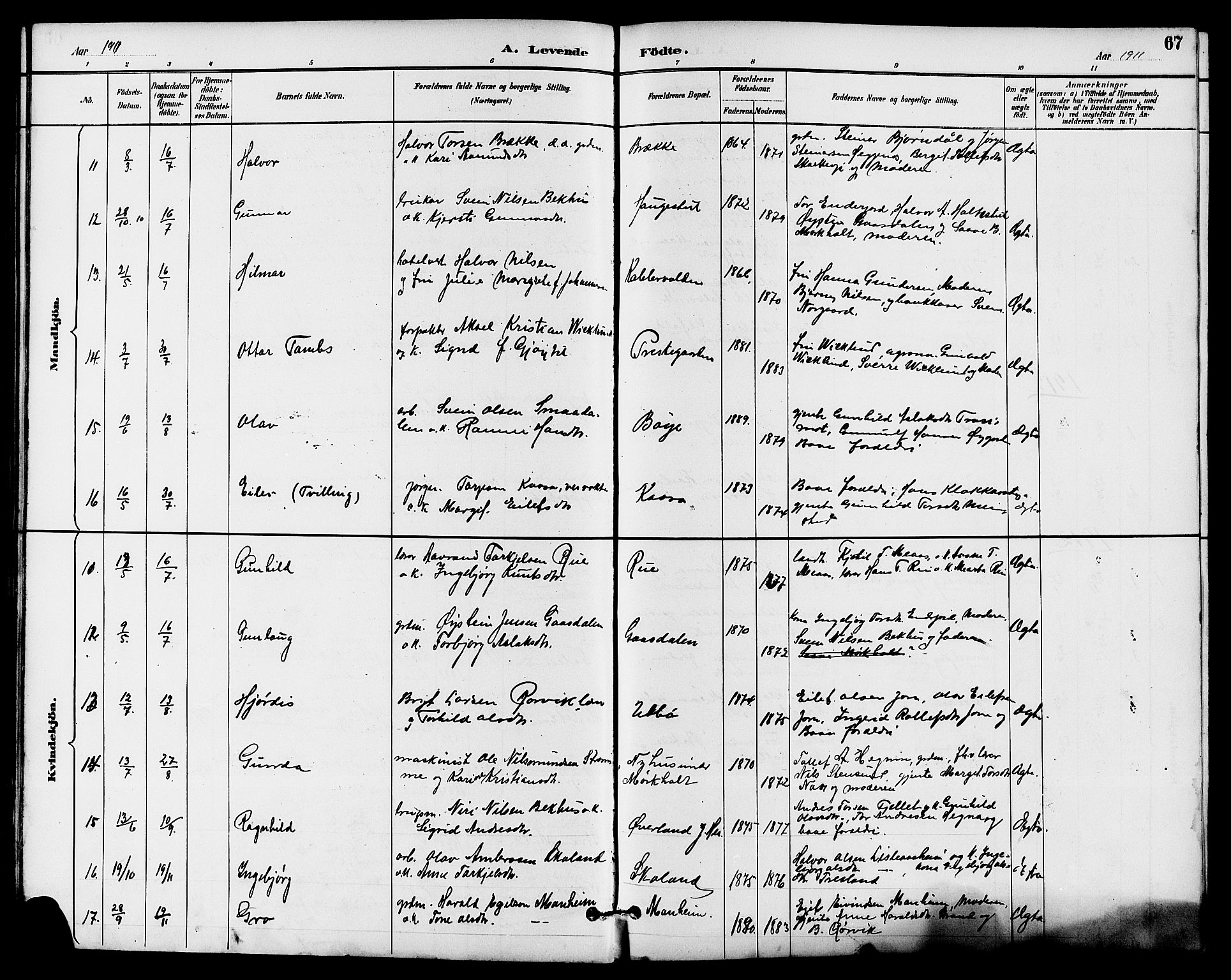 Seljord kirkebøker, SAKO/A-20/G/Ga/L0005: Parish register (copy) no. I 5, 1887-1914, p. 67