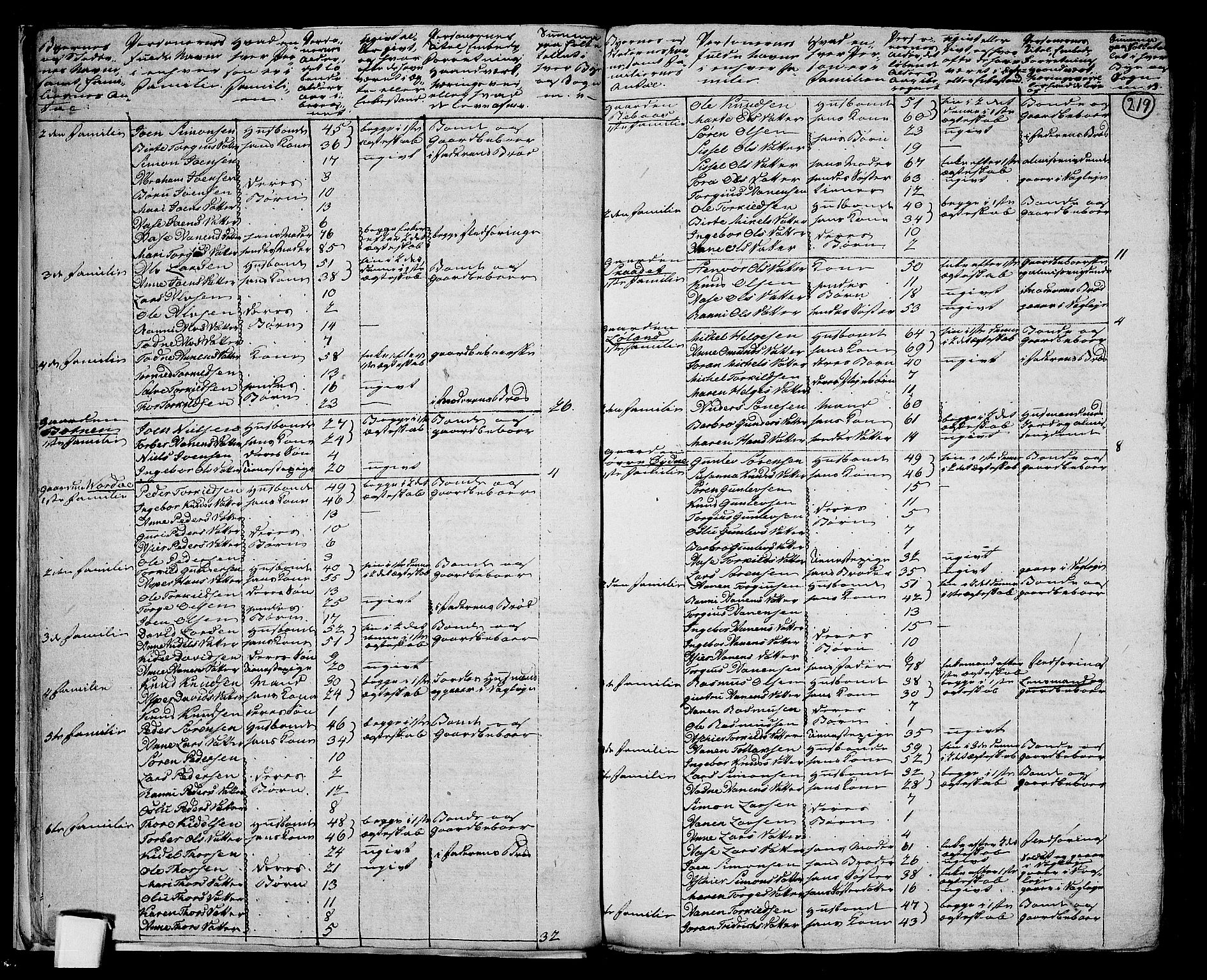 RA, 1801 census for 1024P Bjelland, 1801, p. 218b-219a