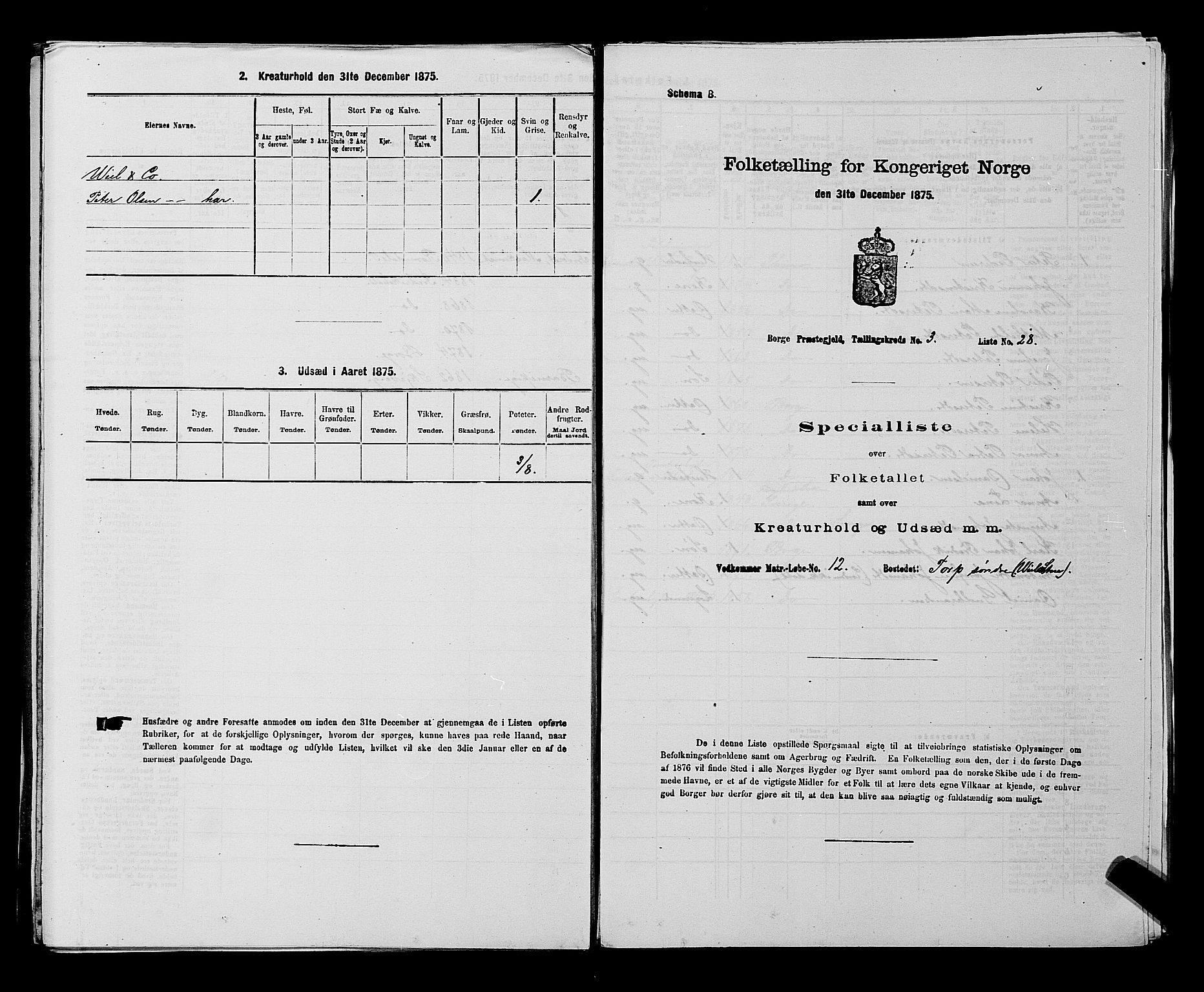 RA, 1875 census for 0113P Borge, 1875, p. 442