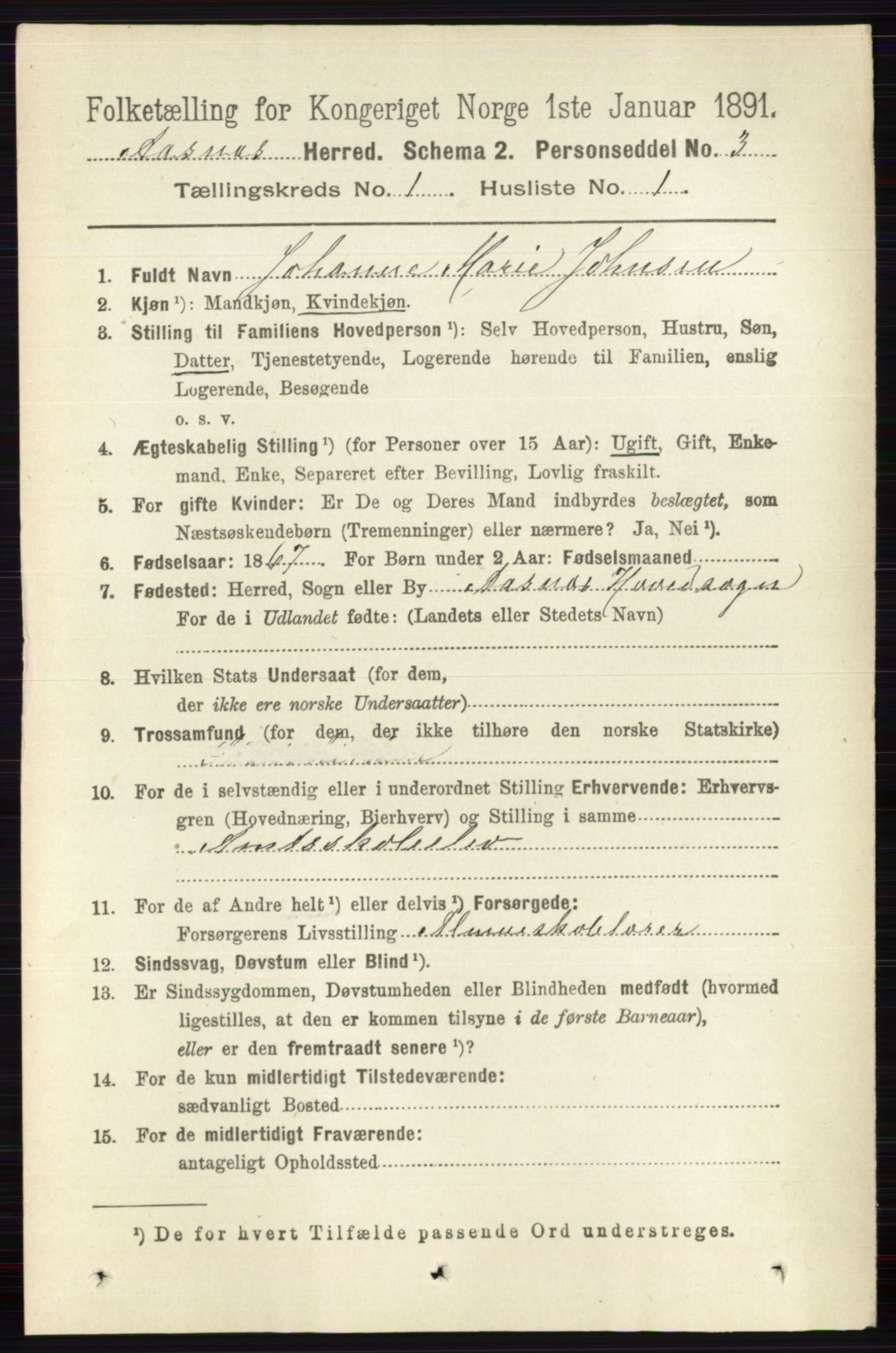 RA, 1891 census for 0425 Åsnes, 1891, p. 116