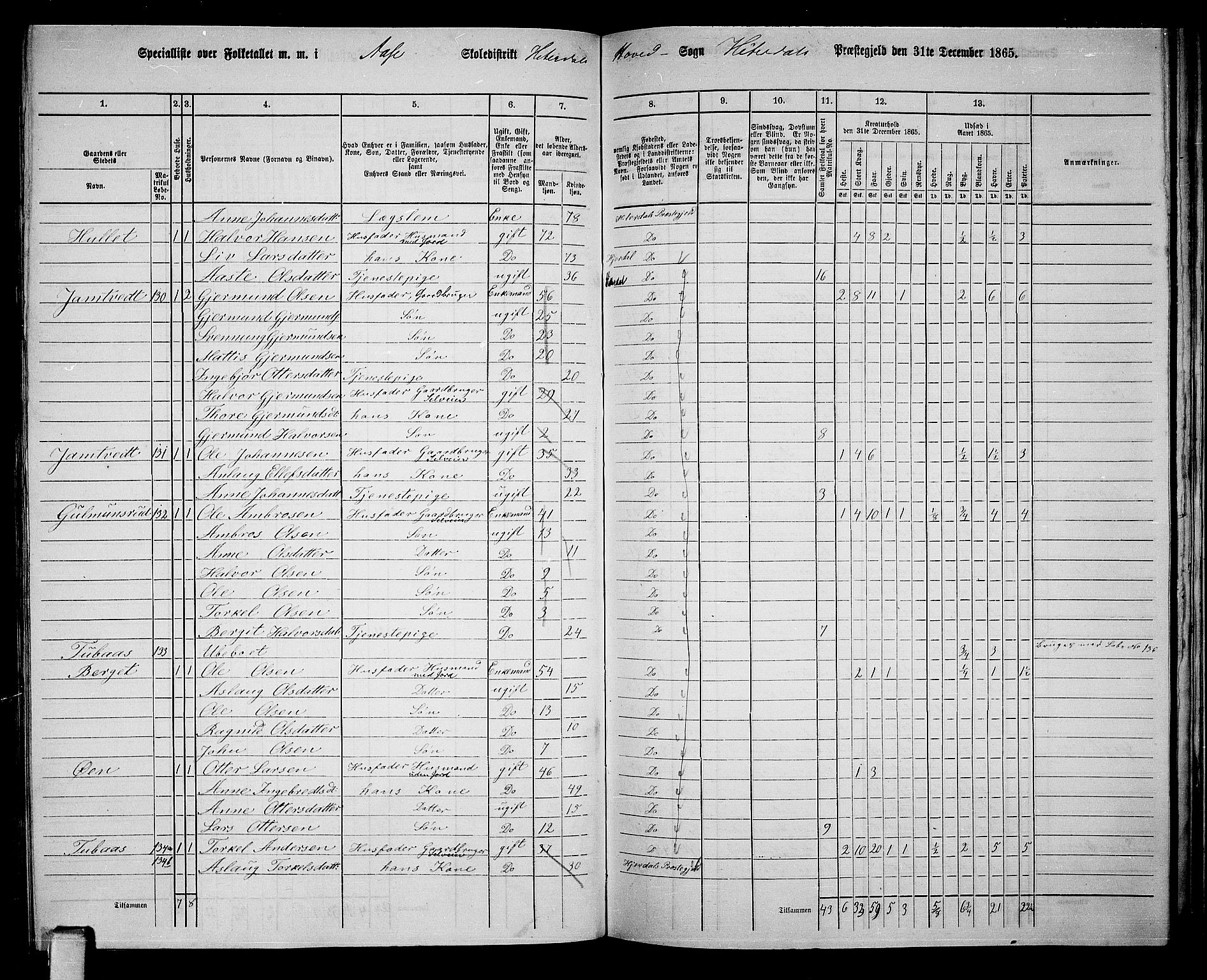 RA, 1865 census for Heddal, 1865, p. 111