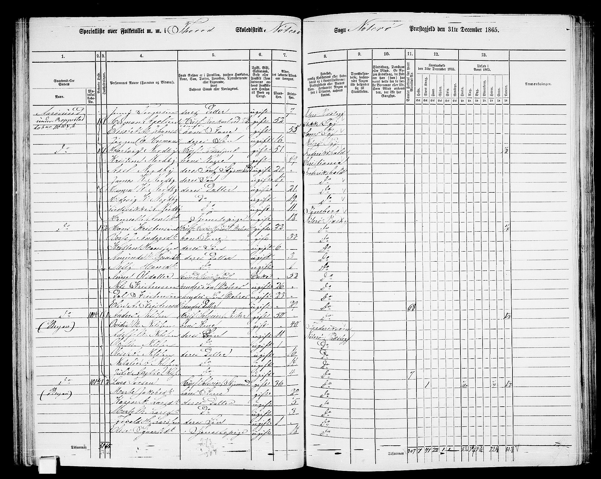 RA, 1865 census for Nøtterøy, 1865, p. 101