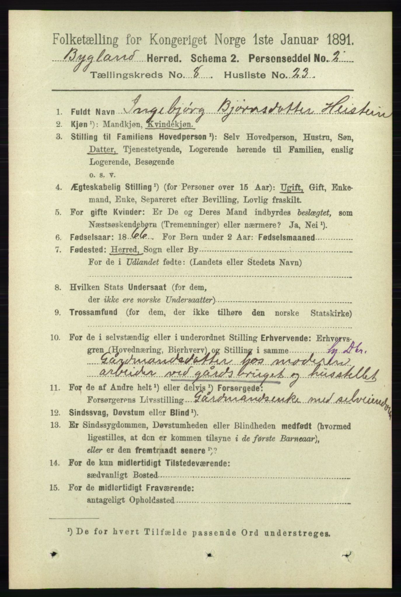 RA, 1891 census for 0938 Bygland, 1891, p. 2063