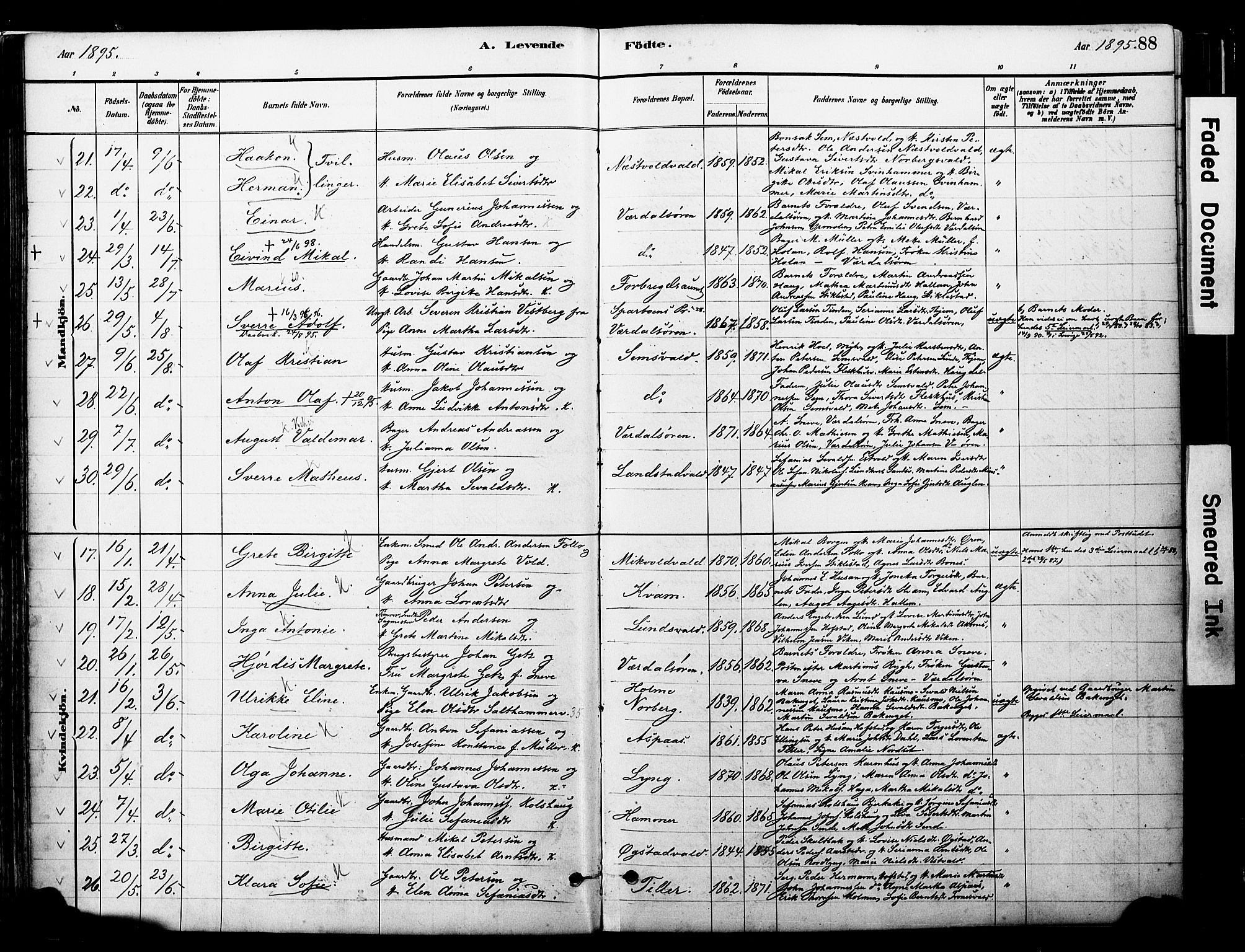 Ministerialprotokoller, klokkerbøker og fødselsregistre - Nord-Trøndelag, AV/SAT-A-1458/723/L0244: Parish register (official) no. 723A13, 1881-1899, p. 88