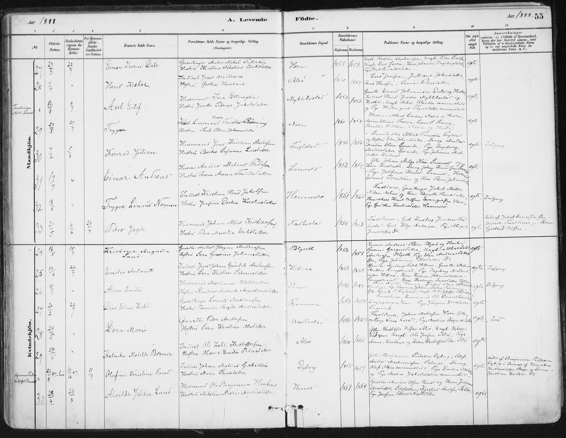 Ministerialprotokoller, klokkerbøker og fødselsregistre - Nordland, AV/SAT-A-1459/838/L0552: Parish register (official) no. 838A10, 1880-1910, p. 55