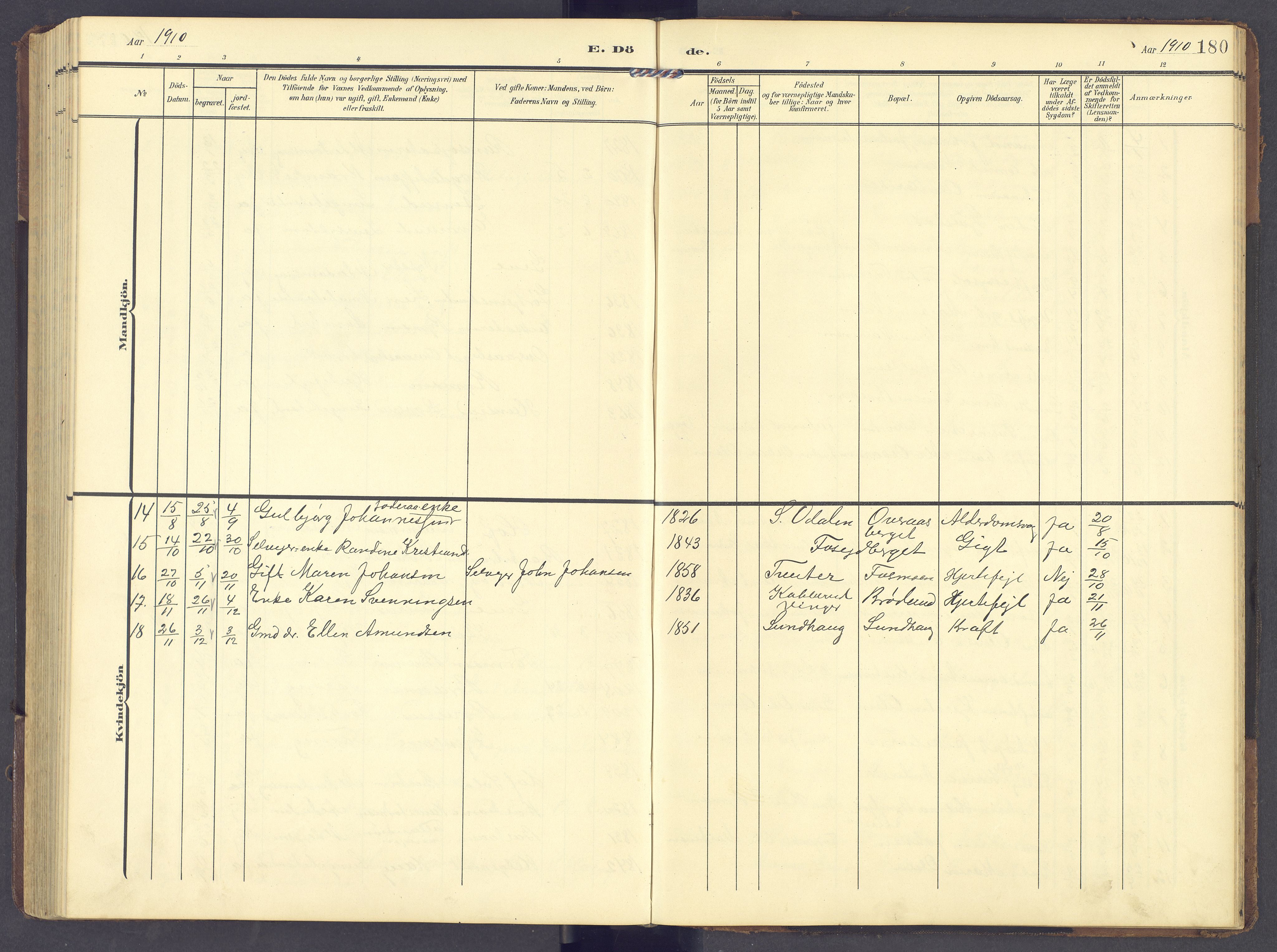 Brandval prestekontor, AV/SAH-PREST-034/H/Ha/Hab/L0003: Parish register (copy) no. 3, 1904-1917, p. 180