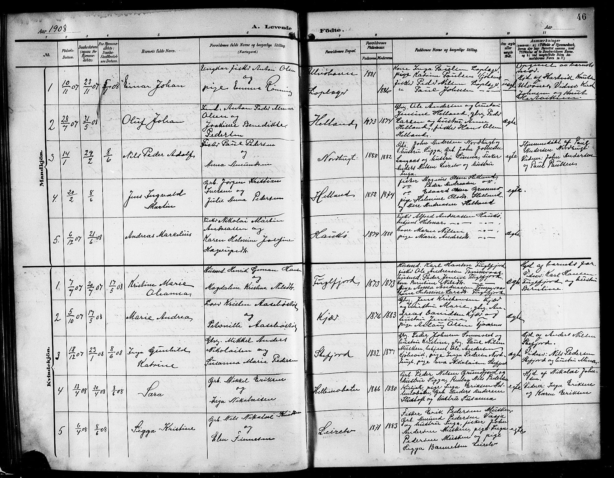 Ministerialprotokoller, klokkerbøker og fødselsregistre - Nordland, AV/SAT-A-1459/861/L0877: Parish register (copy) no. 861C03, 1903-1919, p. 46