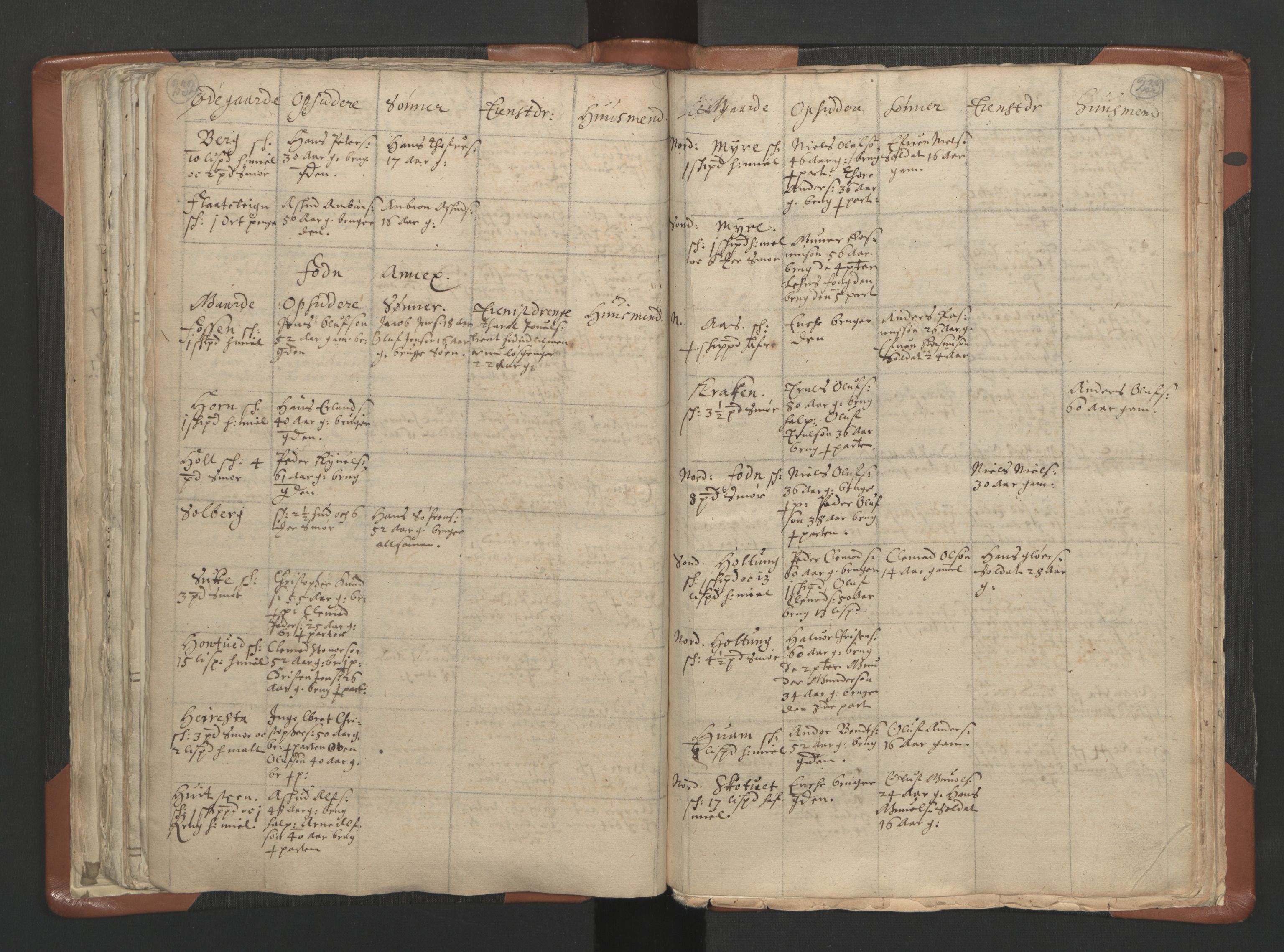 RA, Vicar's Census 1664-1666, no. 10: Tønsberg deanery, 1664-1666, p. 232-233