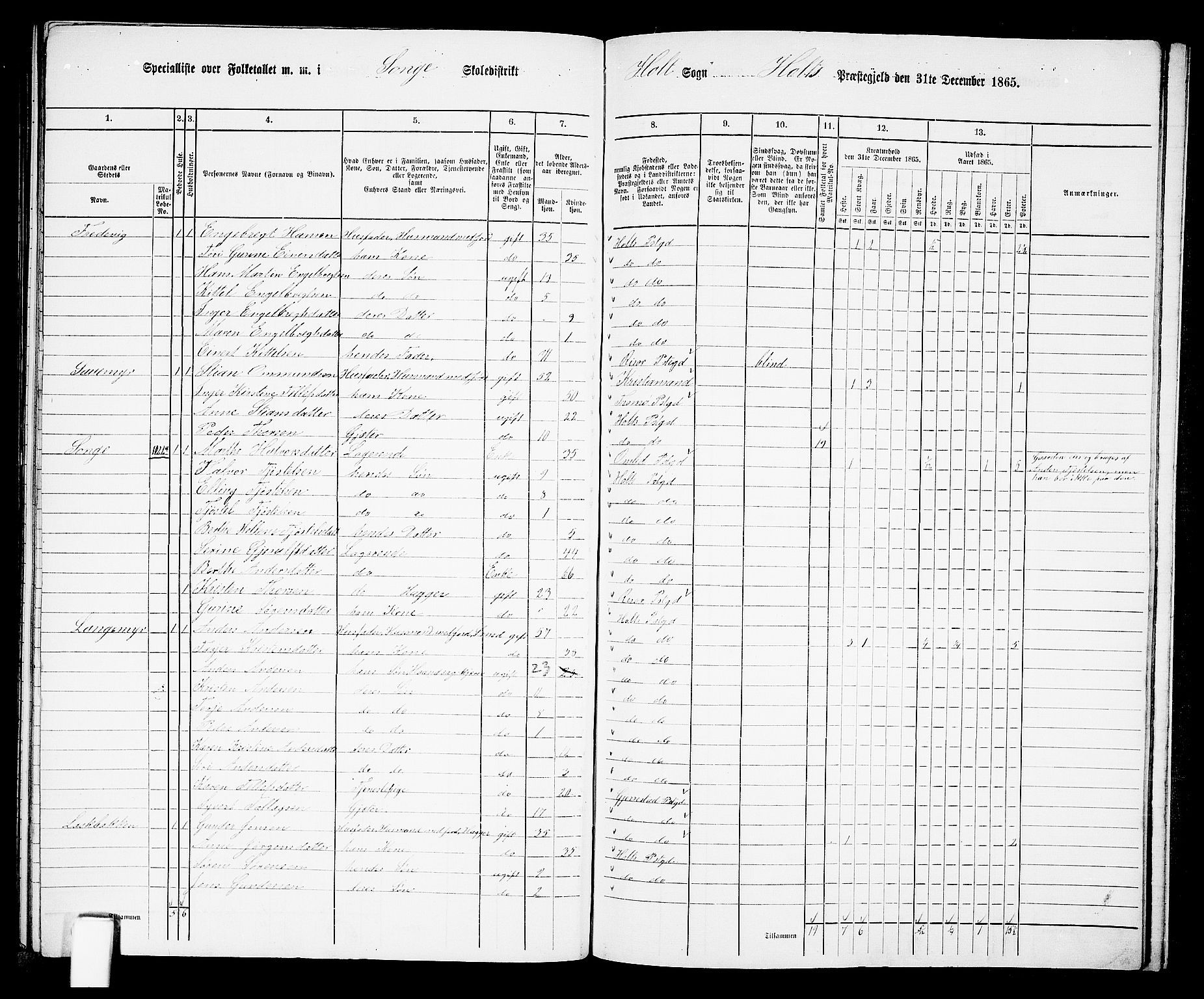 RA, 1865 census for Holt/Holt, 1865, p. 167