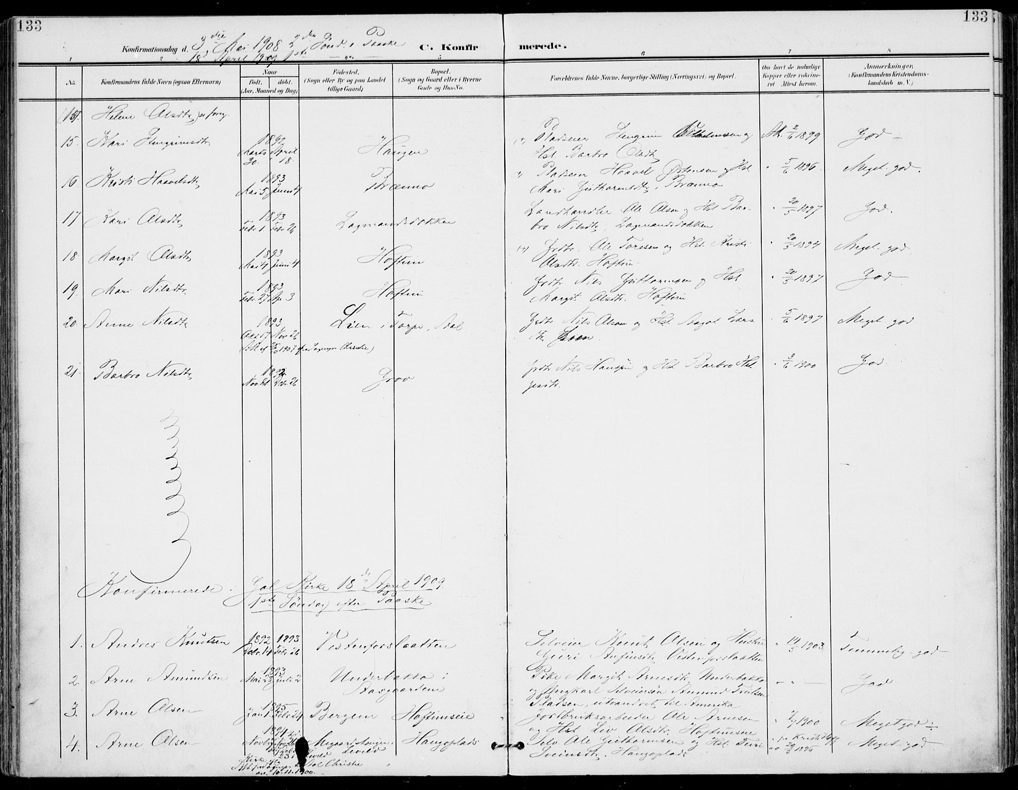 Gol kirkebøker, AV/SAKO-A-226/F/Fa/L0006: Parish register (official) no. I 6, 1901-1918, p. 133