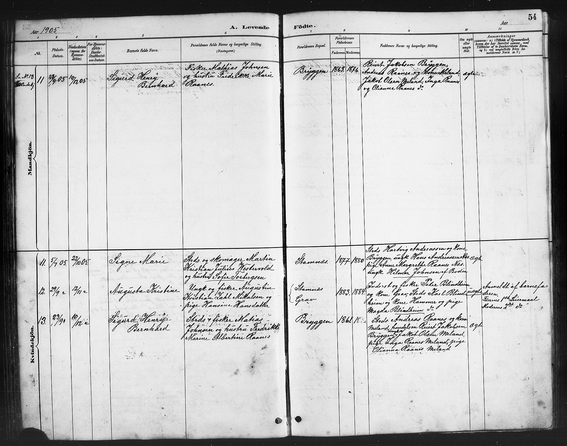 Ministerialprotokoller, klokkerbøker og fødselsregistre - Nordland, AV/SAT-A-1459/808/L0131: Parish register (copy) no. 808C02, 1879-1919, p. 54