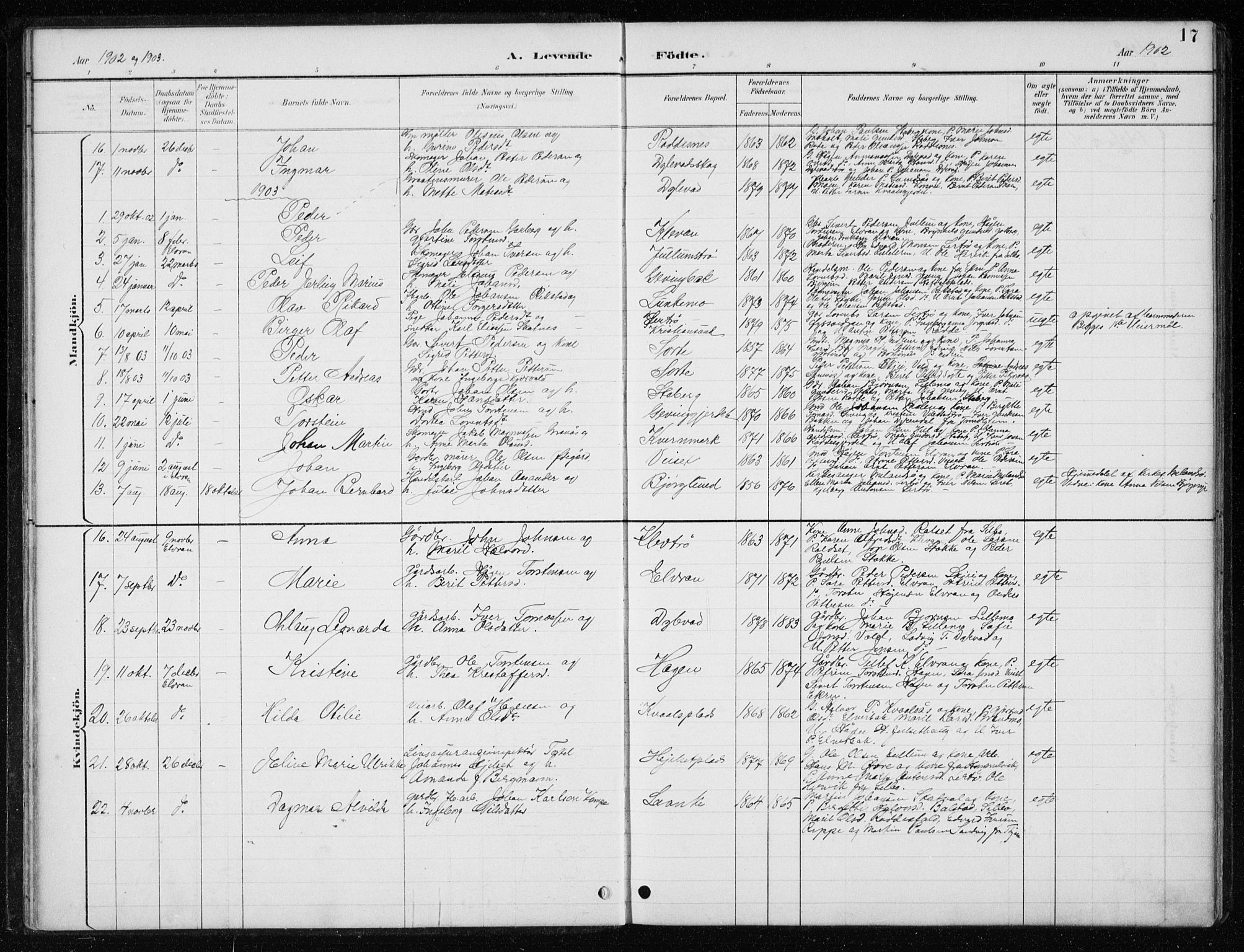 Ministerialprotokoller, klokkerbøker og fødselsregistre - Nord-Trøndelag, SAT/A-1458/710/L0096: Parish register (copy) no. 710C01, 1892-1925, p. 17