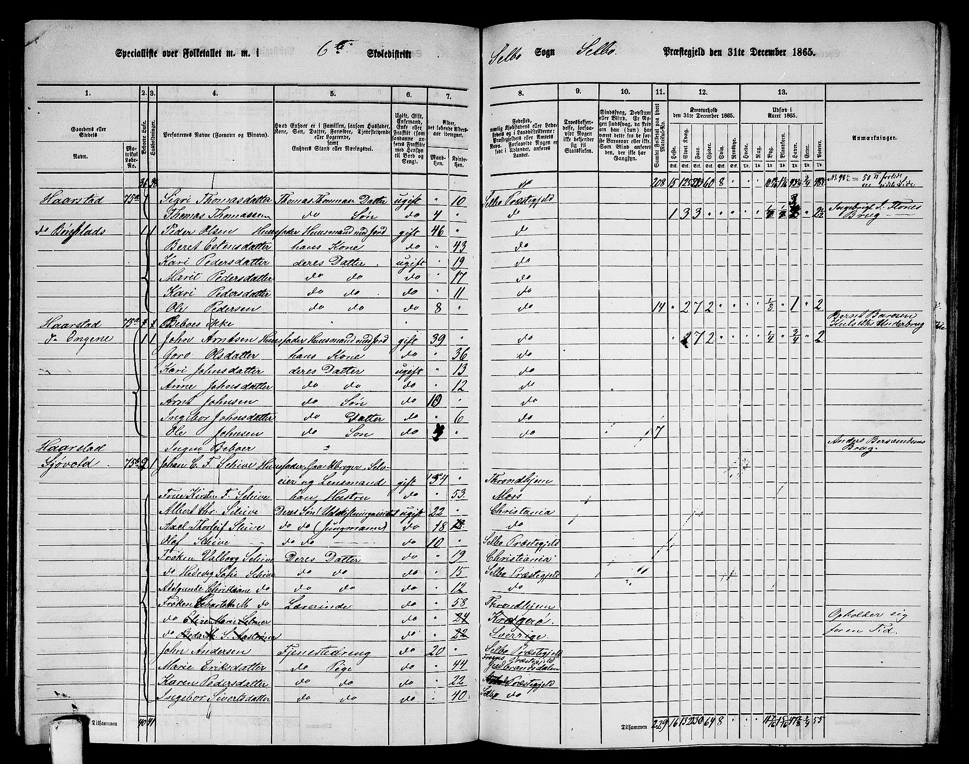 RA, 1865 census for Selbu, 1865, p. 98